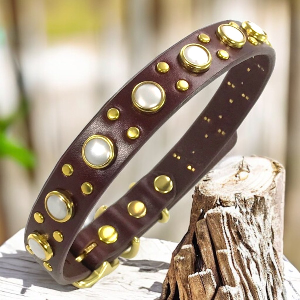 Premium Genuine Leather Dog Collar for Small Medium Large Dogs - Zion Series | Adjustable Pet Collar with D-Ring for Leash | Durable & Comfortable for Daily Walks, Training & Outdoor Adventures
