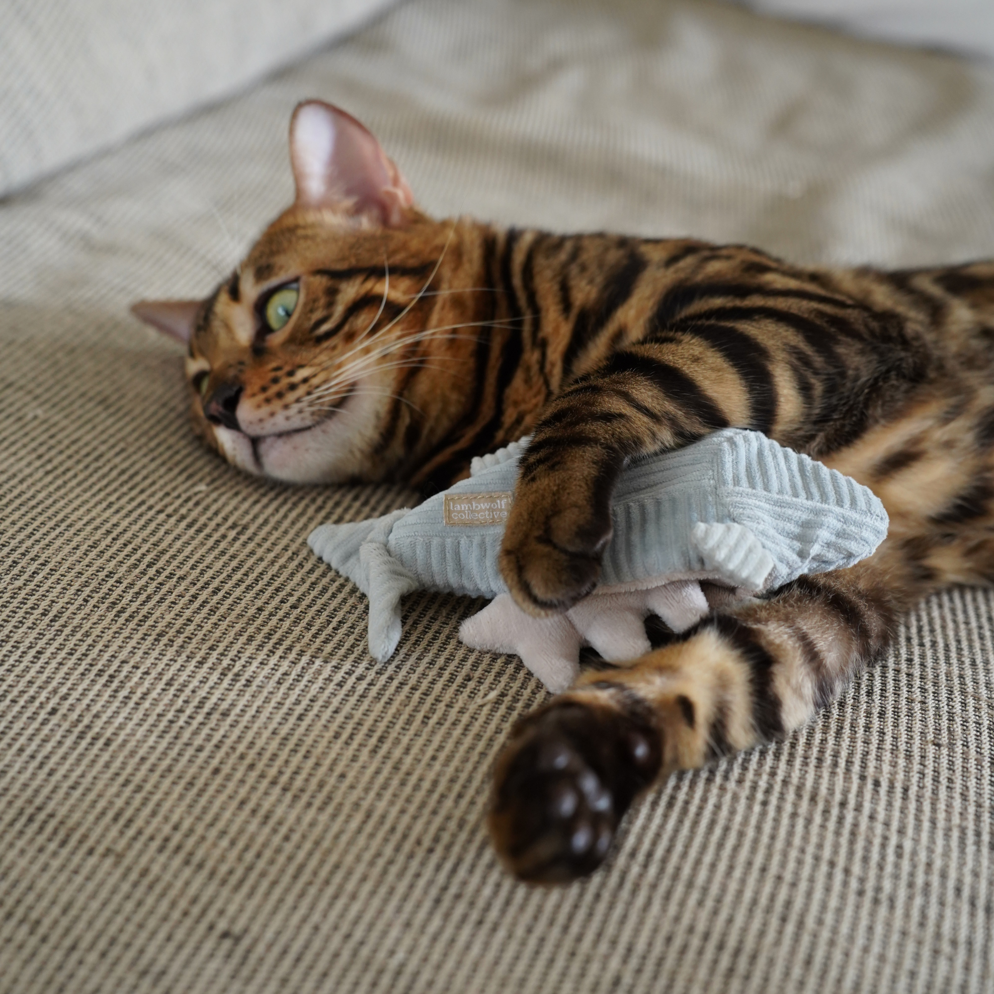 Kitty Trout Cat Toy - Interactive Fishing Rod Toy for Cats with Feather & Bell - Perfect for Indoor Play, Exercise & Bonding with Your Kitten