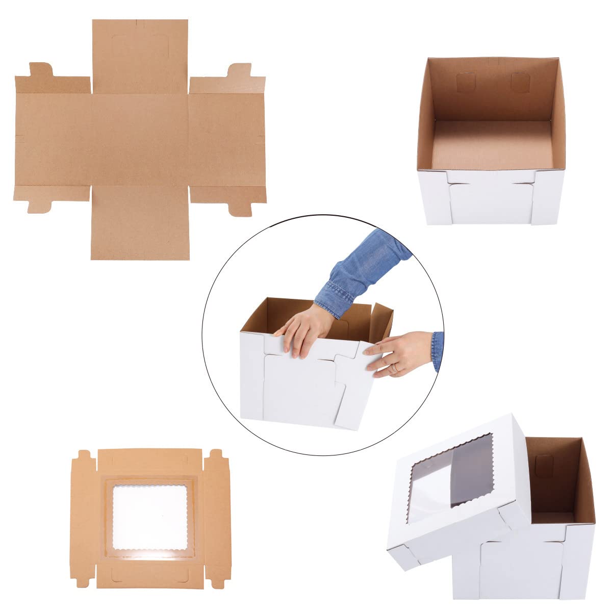 14x14x12 Inch Tall Cake Boxes for Wedding & Tier Cakes - 2 Pack Sturdy Bakery Boxes with Clear Window | Disposable Layer Cake Carrier for Parties, Events & Professional Baking