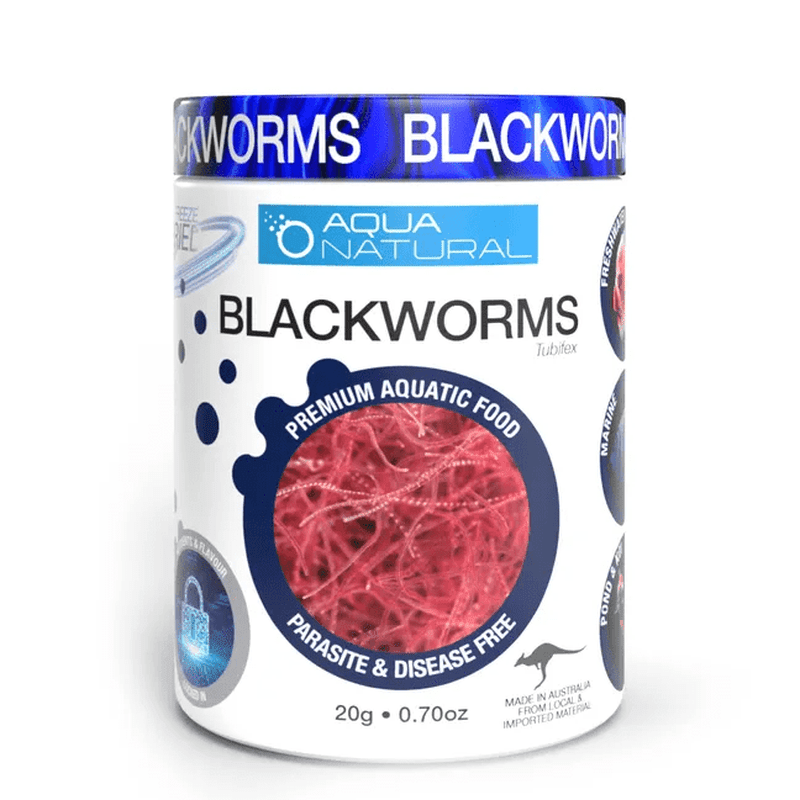 Premium Aqua Natural Freeze Dried Blackworms 20g - High Protein Fish Food for Tropical Fish, Betta, Goldfish & Aquatic Pets - Perfect for Daily Feeding & Nutrition Boosting