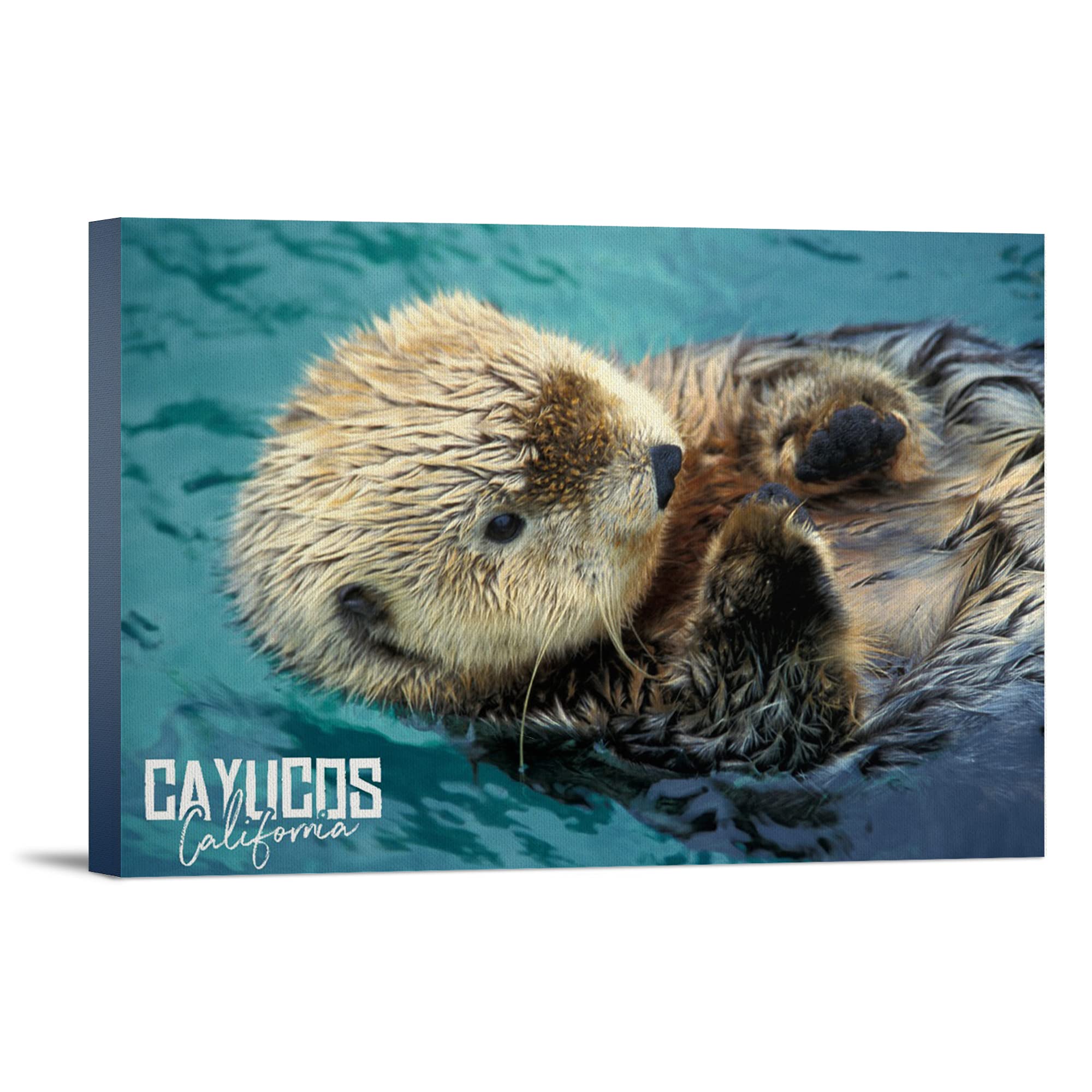 Sea Otter Up Close Wall Art - 16x24 Wrapped Canvas Print of Cayucos California Wildlife - Coastal Home Decor for Living Room, Beach House & Office