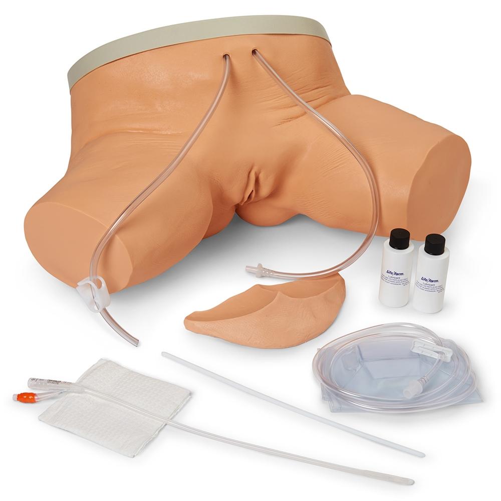 Female Catheterization Simulator - Medical Training Model for Nursing Students & Healthcare Professionals | Practice Urinary Catheter Insertion Techniques