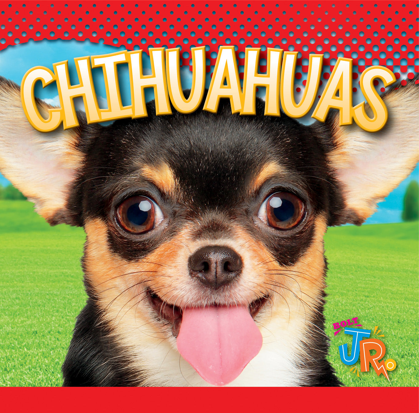 Chihuahuas - 9781623104689 | Small Dog Breed Guide, Care Tips & Training Advice for Pet Lovers | Perfect for Home Companionship & Family Pets