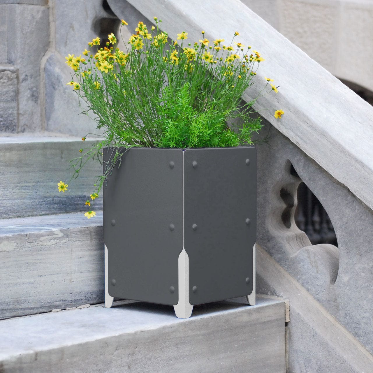 BOLTON Short Planter Set of 4 - Small Indoor Flower Pots for Succulents, Herbs & Plants - Perfect for Windowsill, Kitchen, Office & Home Decor
