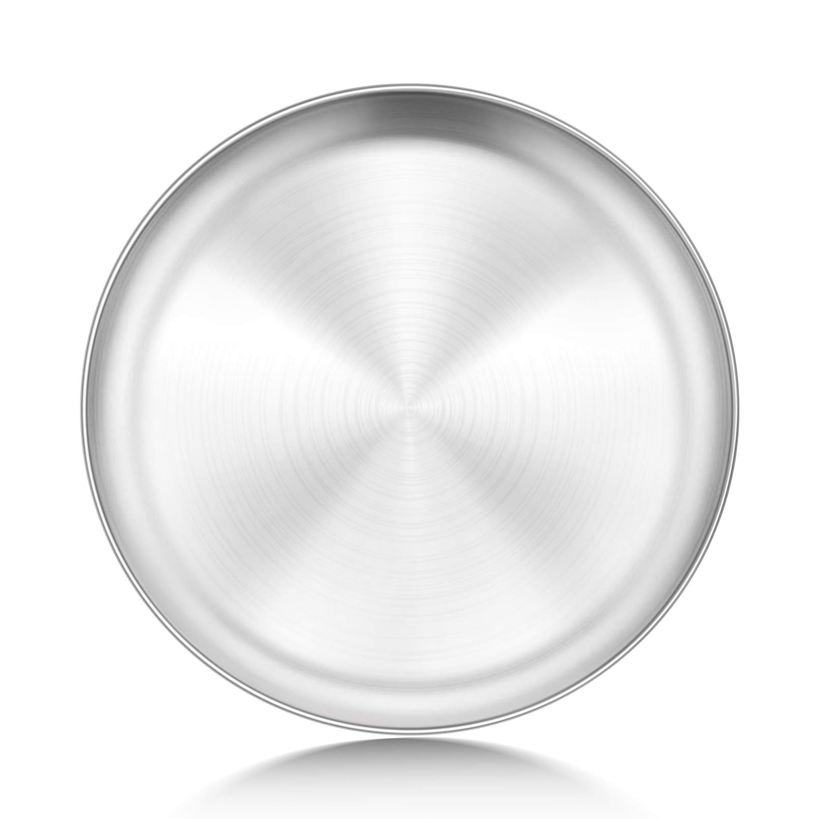 Premium Stainless Steel Pizza Pan - 10 Inch Non-Stick Baking Tray for Homemade Pizza | Oven & Freezer Safe | Healthy, Reusable & Easy Clean | Perfect for Home Kitchen, Restaurants & Outdoor Cooking