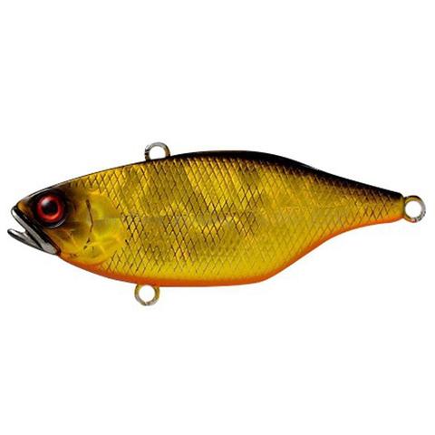Escape Craw