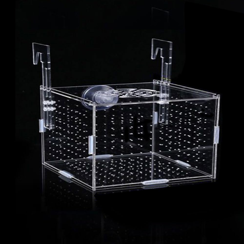 Acrylic Fish Breeding Box - 6x4x4 Inch Aquarium Hatchery & Incubator with Suction Cups for Baby Fish, Shrimp & Clownfish - Perfect for Fish Separation, Breeding Isolation and Safe Nursery in Home Aquariums