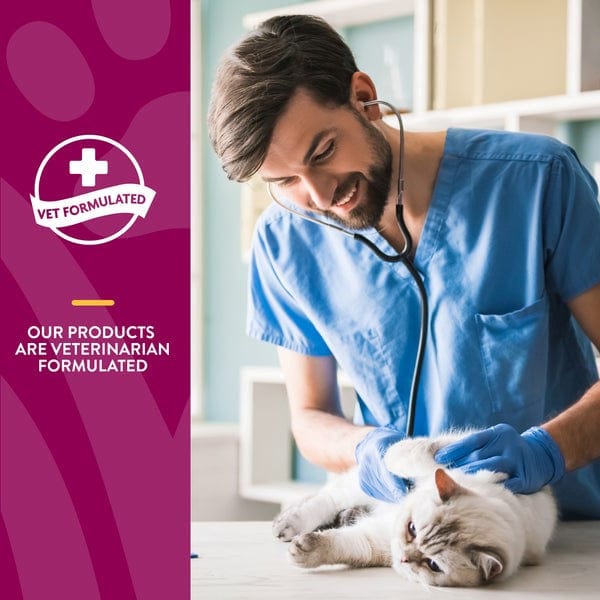 NaturVet Hip & Joint Soft Chews for Cats with Omega-3 - Supports Joint Health & Mobility - Perfect for Senior Cats & Active Felines