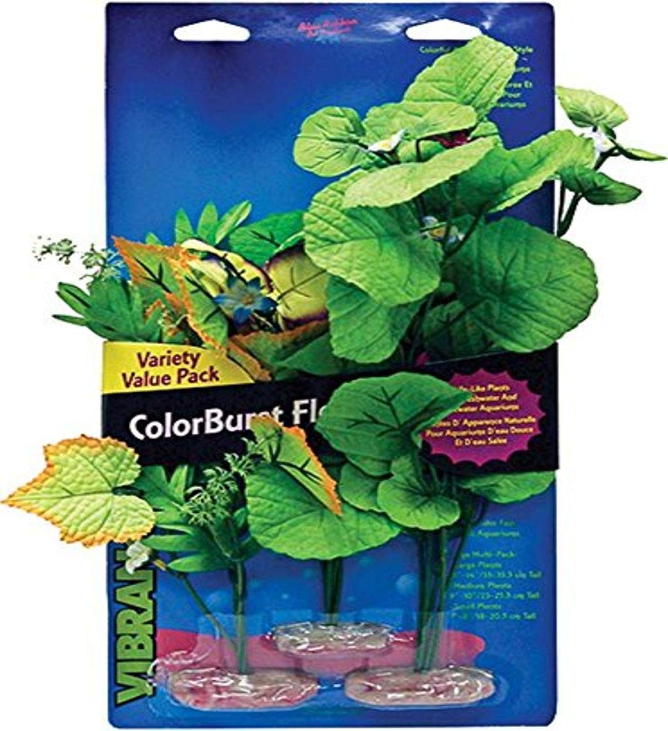 Vibran-Sea Broad Leaf Flowering Cluster Aquarium Plants - Live Aquatic Plants for Fish Tanks, Freshwater Aquascaping & Decorative Underwater Gardens