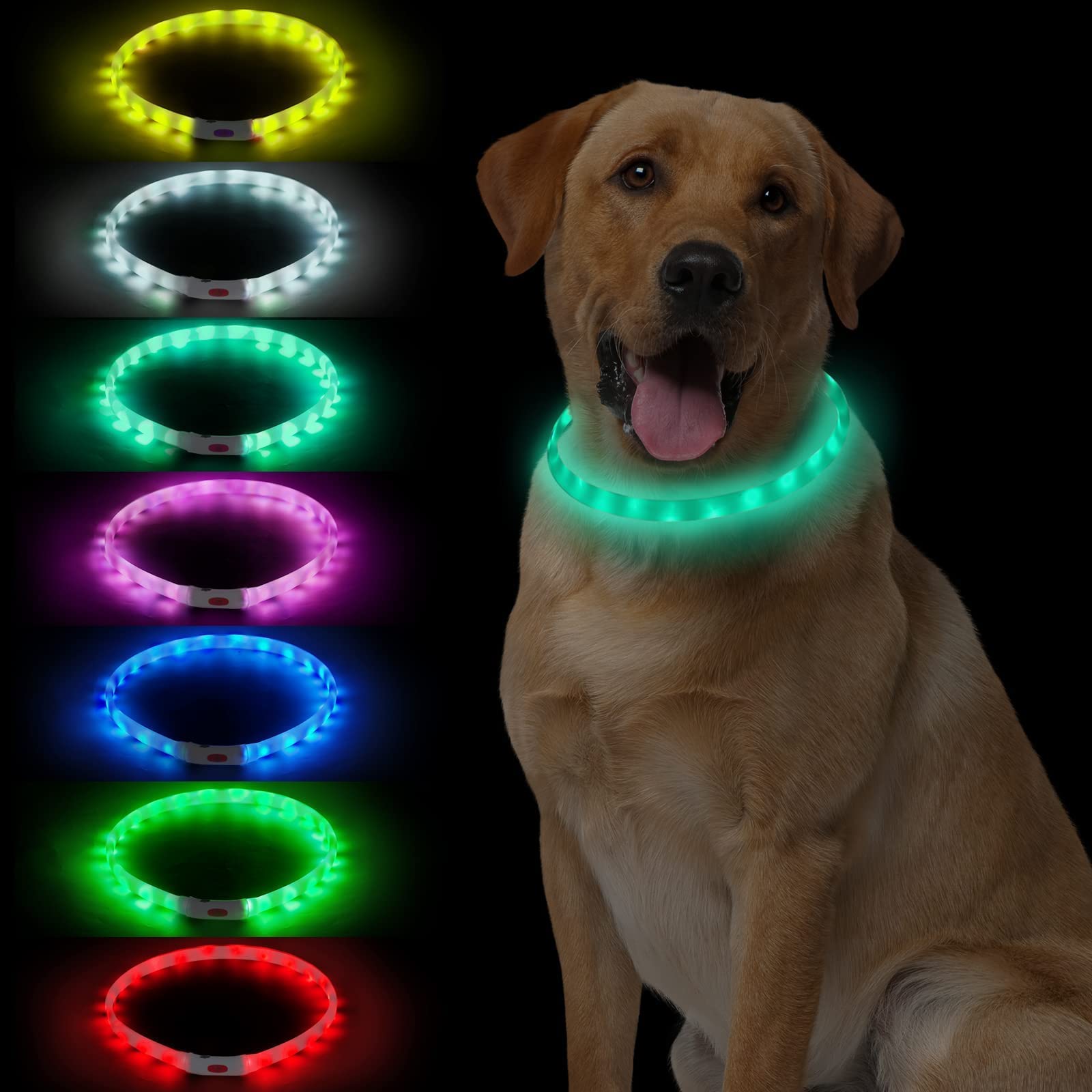 NOVKIN LED Dog Collar - Rechargeable Rainbow Color Changing Light Up Collar for Small Medium Large Dogs | Waterproof & Safe Night Walking Pet Accessories | Perfect for Outdoor, Camping, Jogging & Nighttime Visibility