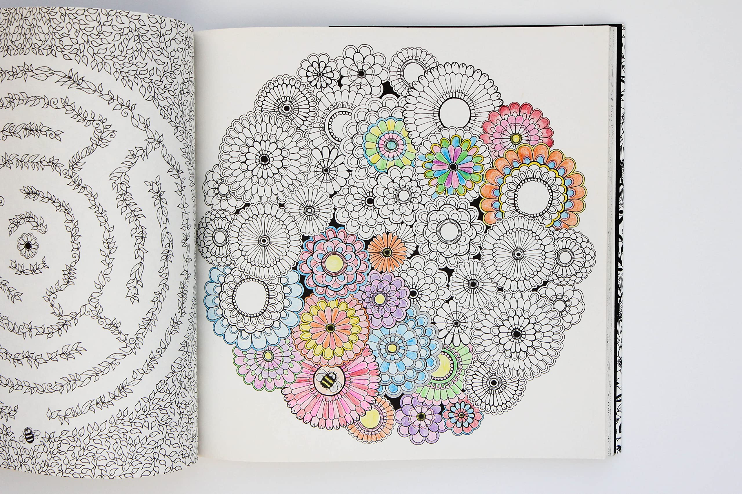 Secret Garden: Adult Coloring Book with Intricate Designs & Treasure Hunt - Perfect for Stress Relief, Mindfulness & Creative Relaxation