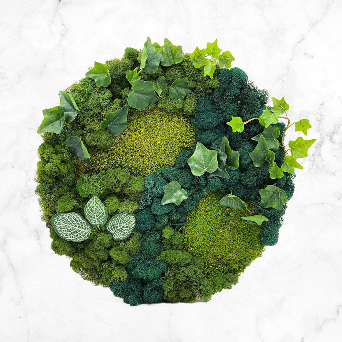 Flora Circular Hanging Moss Wall Art - Handmade Boho Home Decor for Living Room, Bedroom & Office - Natural Plant Decor for Indoor Spaces