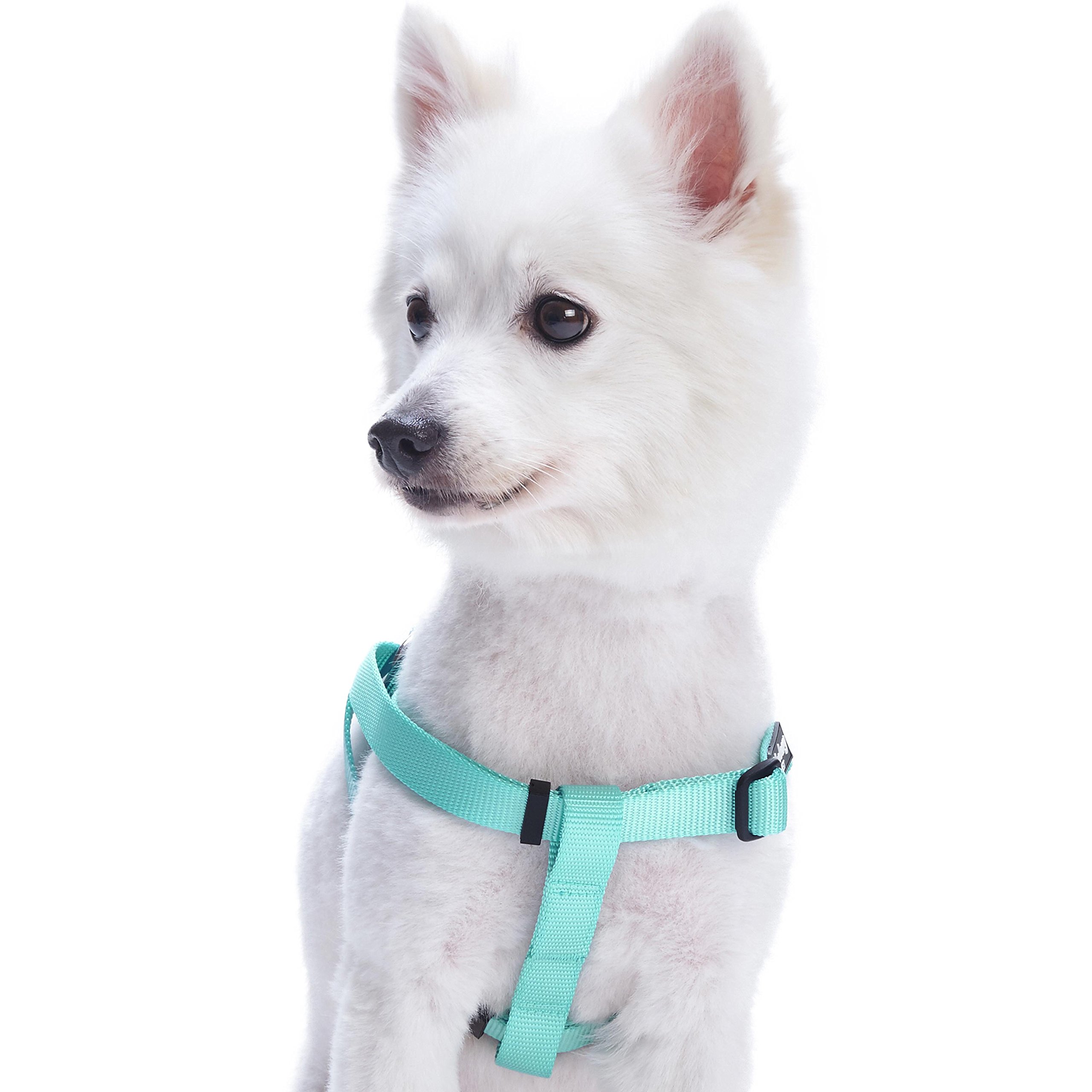Blueberry Pet Essentials Adjustable No-Pull Dog Harness for Small Dogs | Classic Solid Nylon Easy Walk & Step-In Harness | Mint Blue Color | Perfect for Daily Walks, Training & Outdoor Adventures