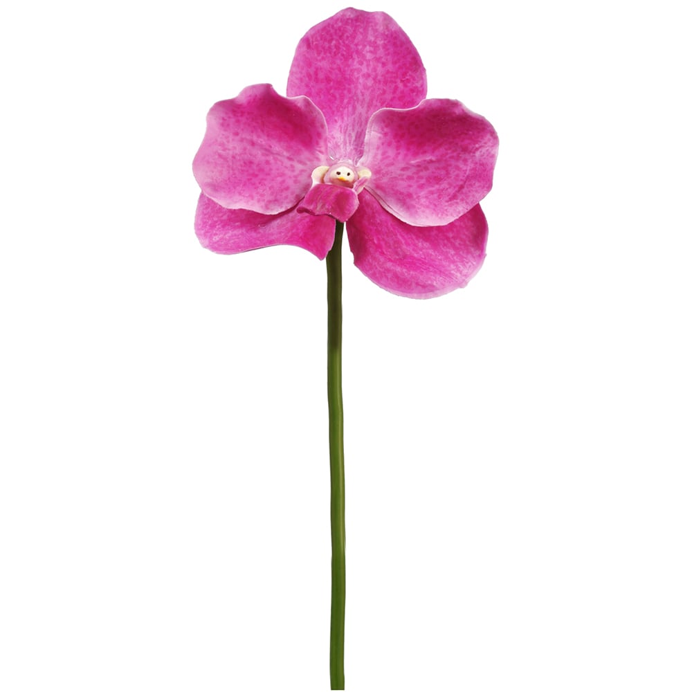 12 Pack Artificial Silk Vanda Orchid Stems - Realistic Fake Flowers for Home Decor, Wedding Centerpieces, Floral Arrangements & DIY Crafts