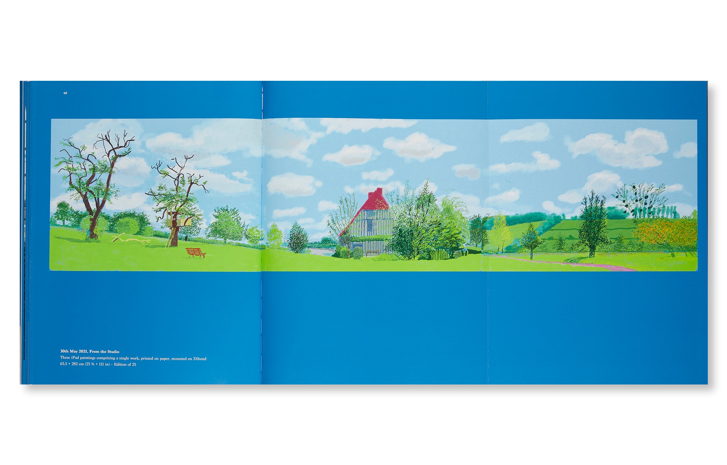 20 Flowers and Some Bigger Pictures by David Hockney - Modern Art Prints for Home Decor & Office Wall Art