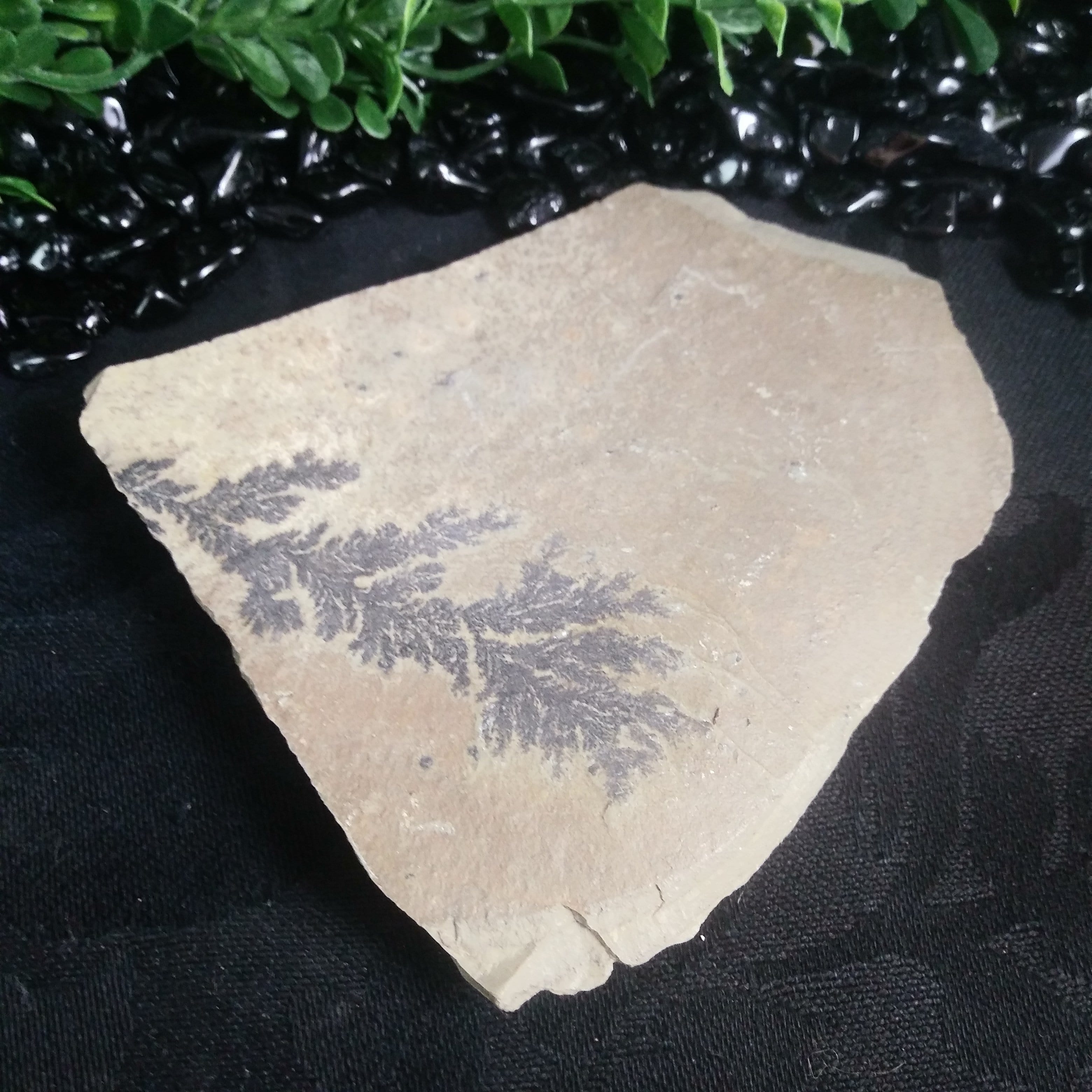 Dendrites in Matrix (Utah) - Natural Mineral Specimens for Collectors & Science Enthusiasts | Perfect for Geology Displays, Educational Use & Home Decor