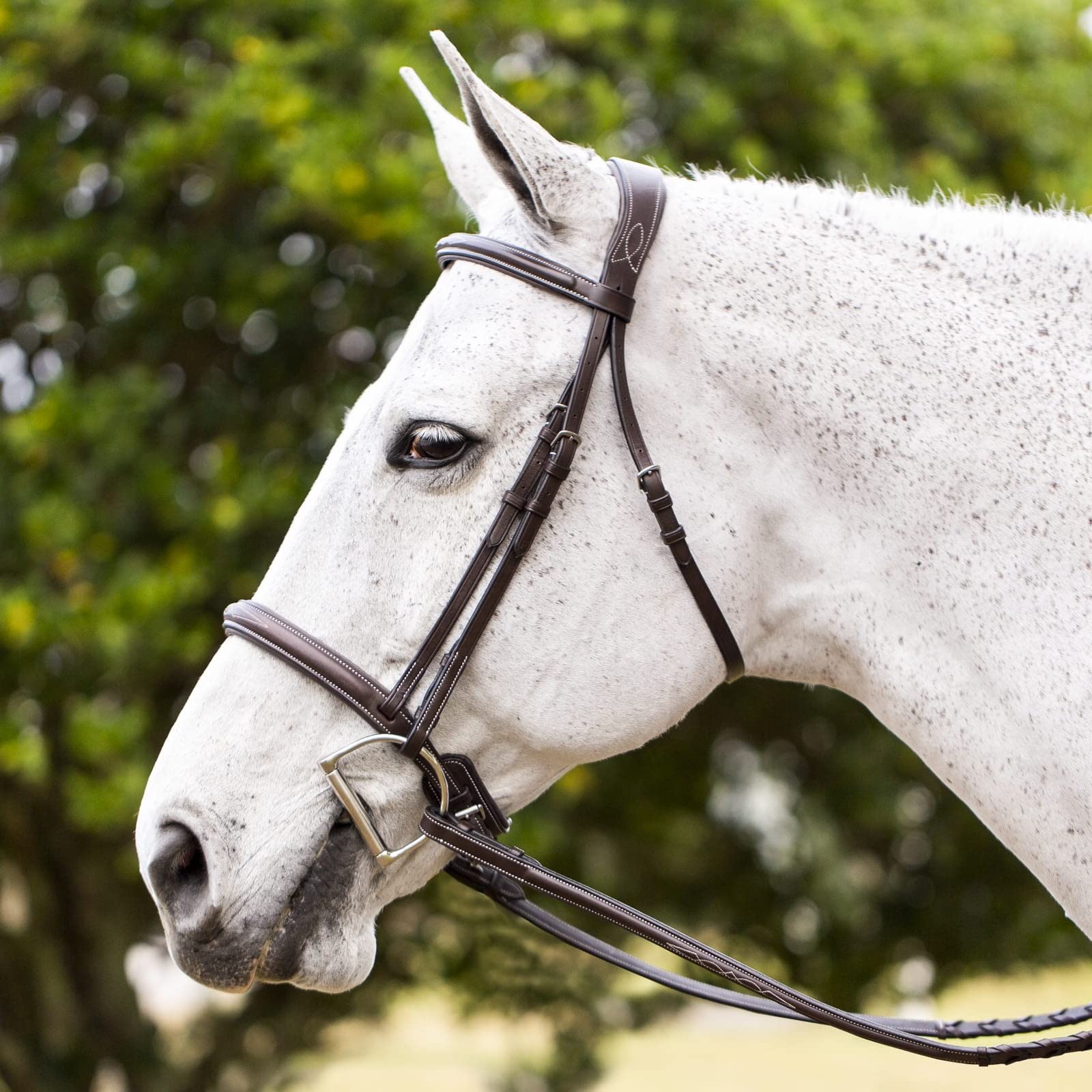 Equinavia Valkyrie Fancy Stitched Padded Cavesson Hunter Bridle with Reins - Premium Equestrian Riding Gear for Dressage & Show Jumping - Perfect for Competition & Training Sessions