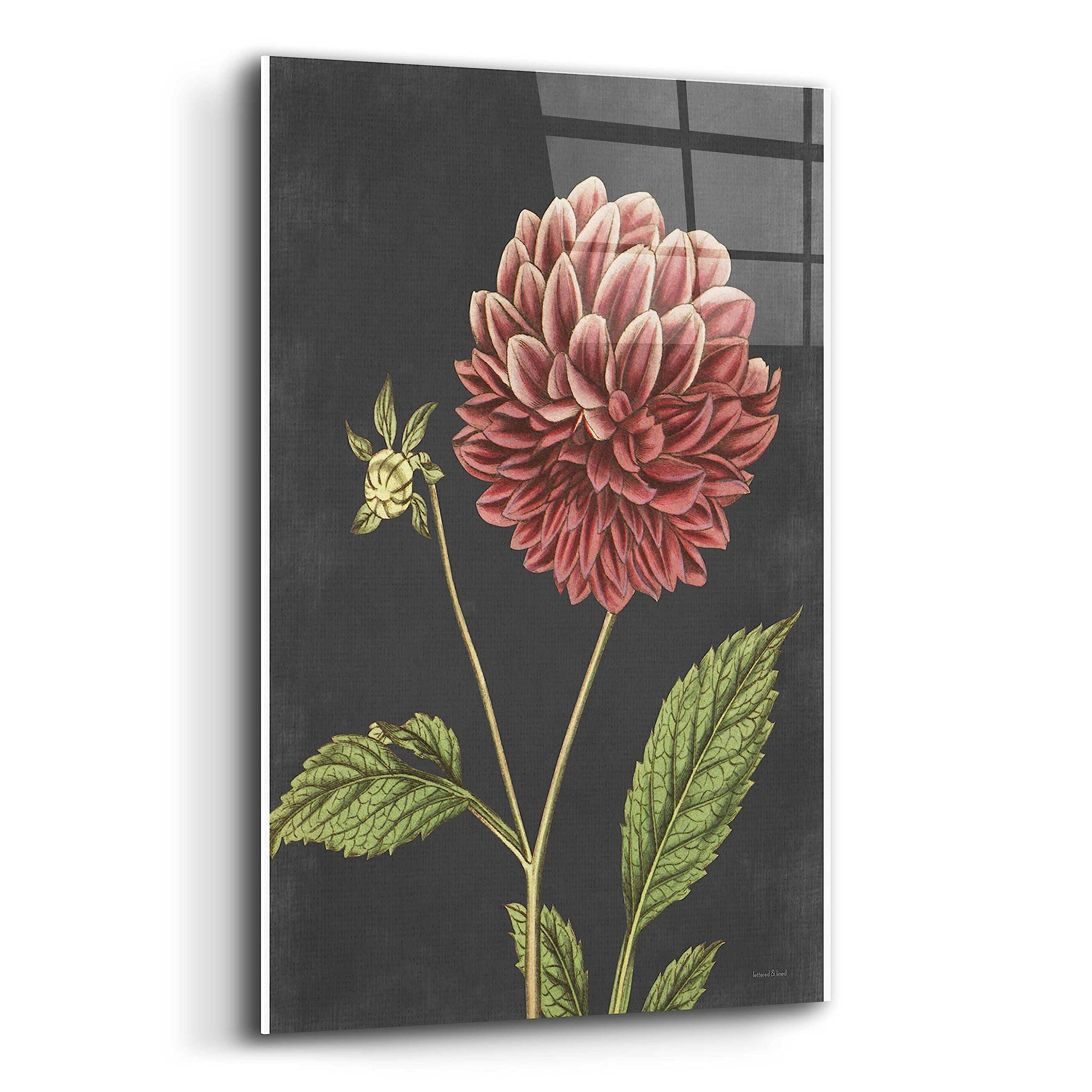 Epic Art 'Dahlia' by Lettered & Lined - 16x24 Inch Acrylic Glass Wall Decor - Modern Floral Painting for Living Room, Bedroom & Office