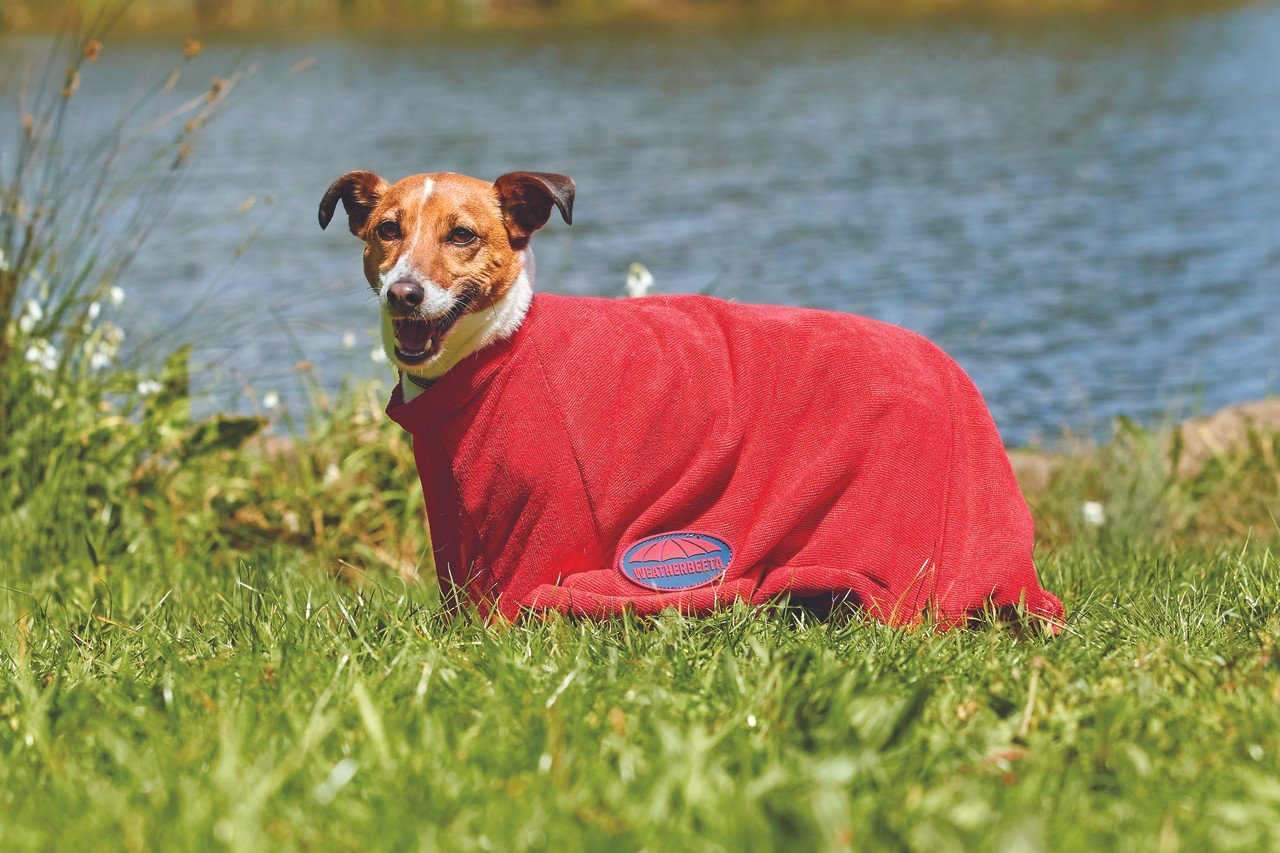Weatherbeeta Waterproof Dry-Dog Bag for Travel & Outdoor Adventures - Durable Pet Carrier for Hiking, Camping & Beach Trips