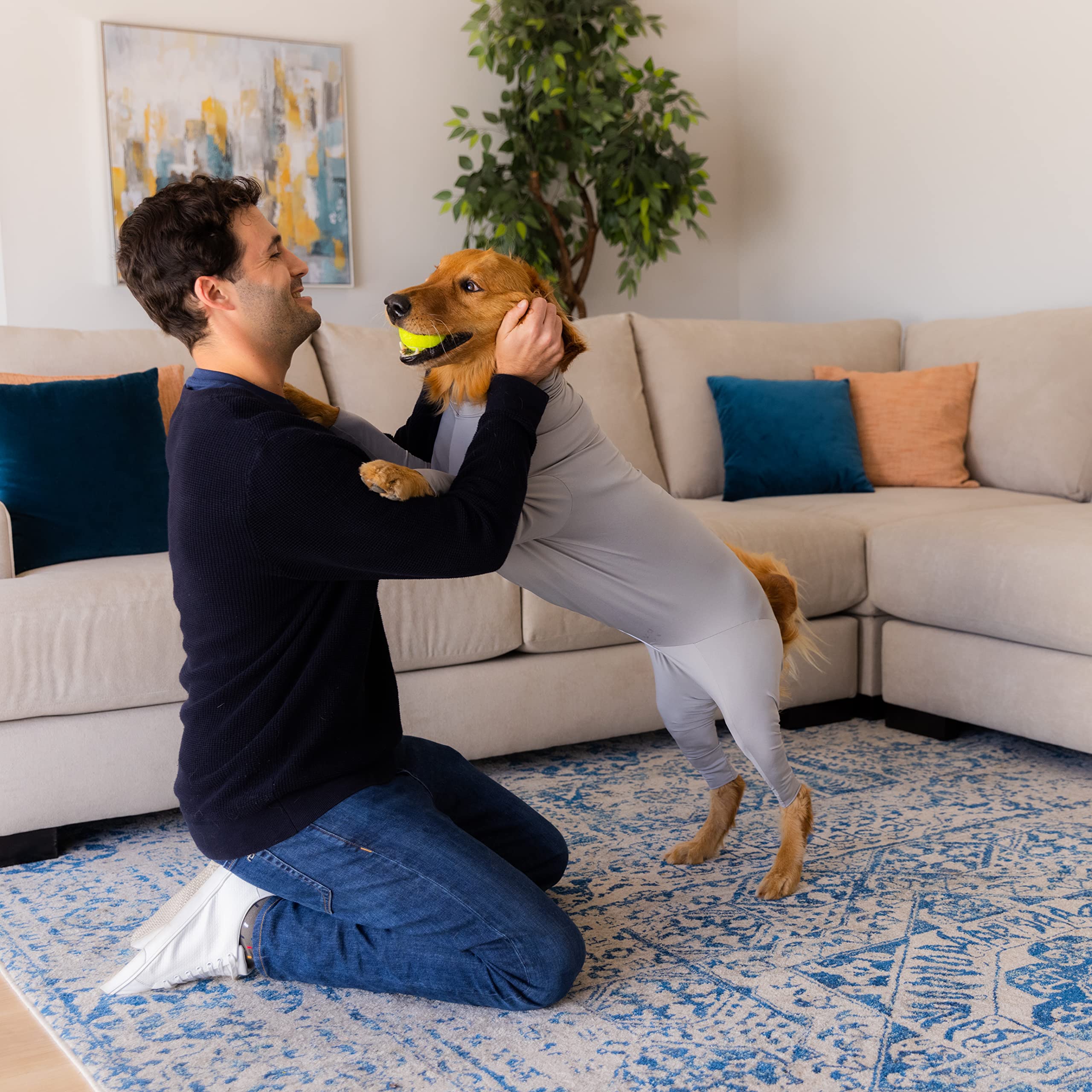 **Shed Defender Original Dog Onesie - Anti-Shedding Dog Shirt, Post-Surgery Recovery Suit & Anxiety Calming Vest | Vet Approved, USA Designed | Seen on Shark Tank | Perfect for Hot Spot & Allergy Relief, Post-Op Care & Stress Reduction**