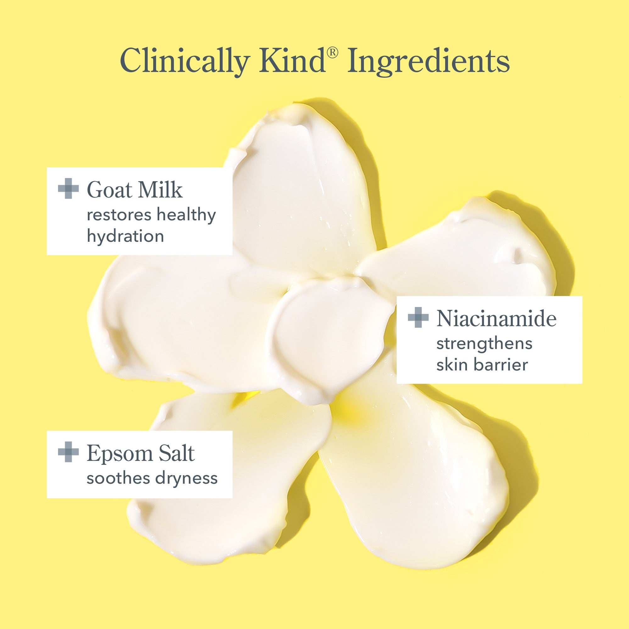 Bloom Cream Daily Moisturizer for Face - Hydrating & Nourishing Skincare with Hyaluronic Acid & Vitamin E - Perfect for Dry, Sensitive Skin Day & Night Care Routine