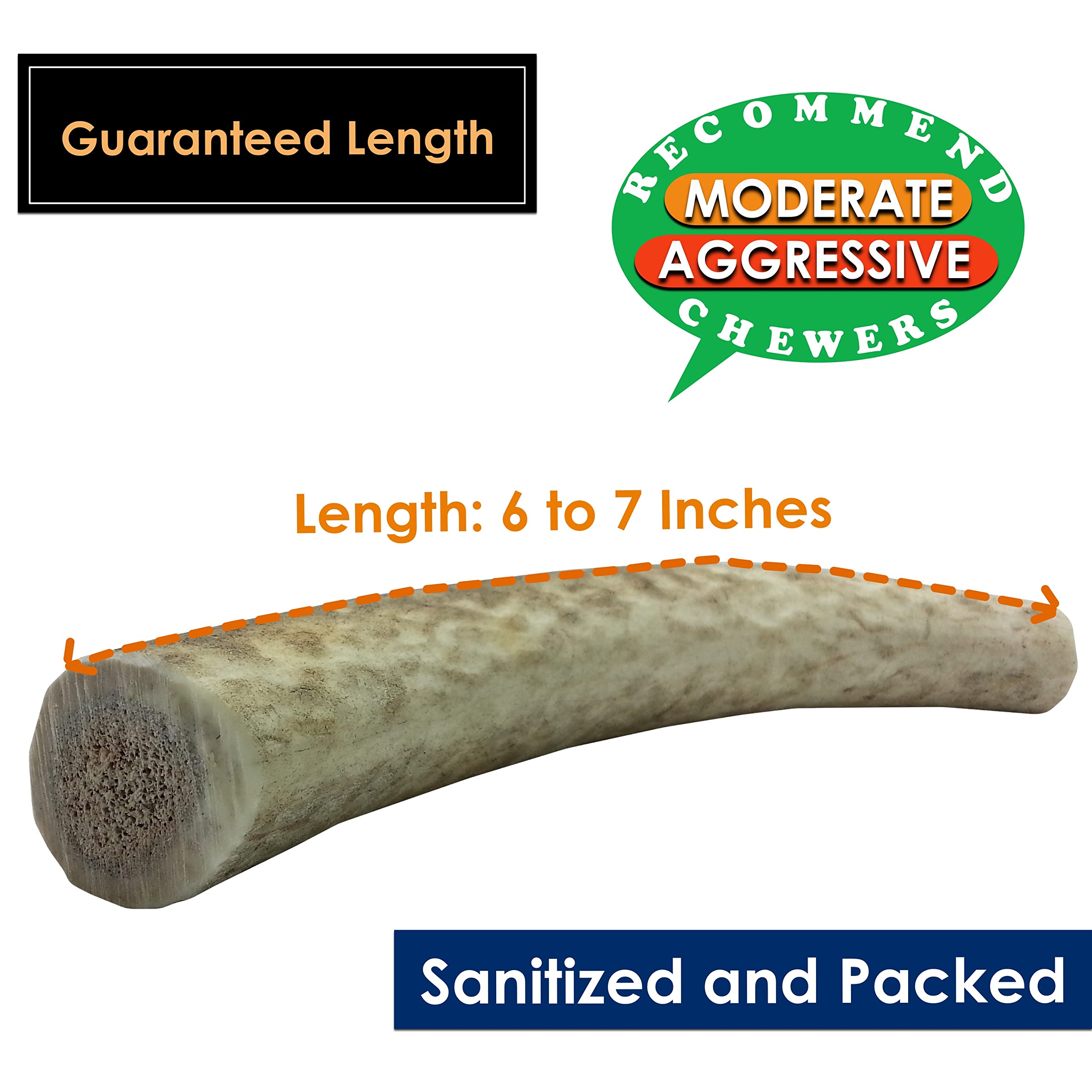 Premium USA-Collected Elk Antler Dog Chews - All Natural A-Grade Medium Whole Antlers (5-Pack) | Naturally Shed & Safe for Aggressive Chewers | Perfect for Dental Health & Long-Lasting Entertainment