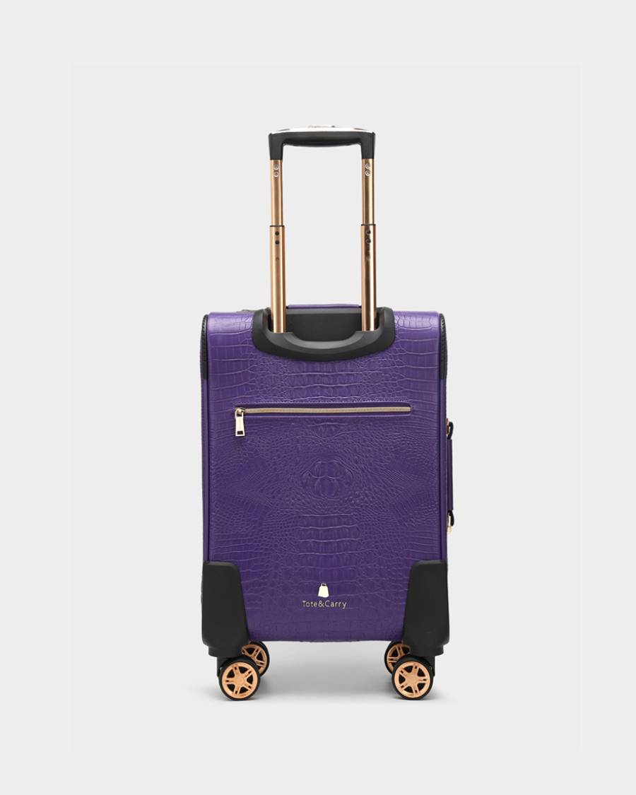 Apollo 2-Piece Luggage Set - 20