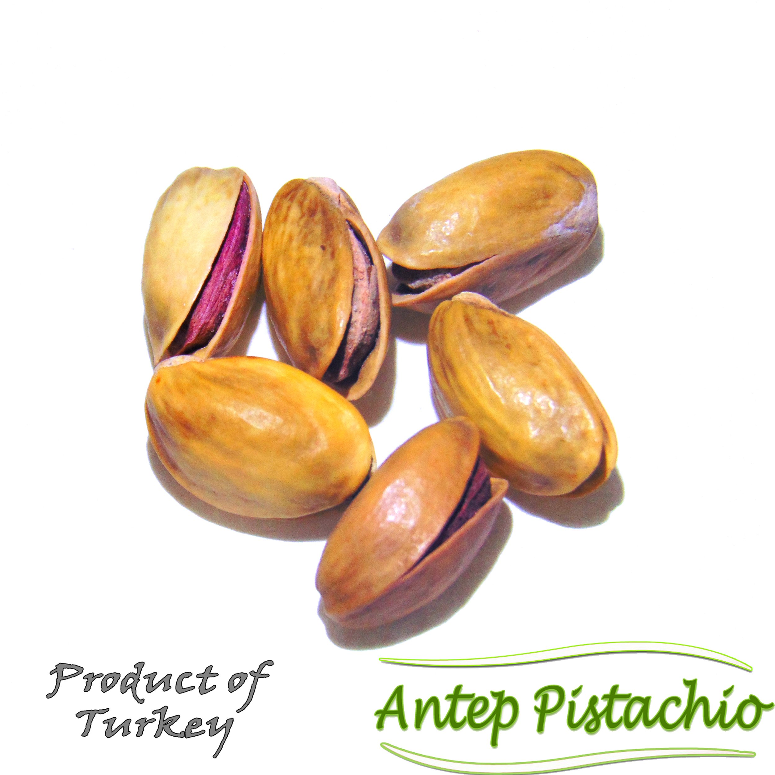Premium Turkish Roasted Antep Pistachios - Lightly Salted, Fresh Harvest (2 LB Bag) | Healthy Snack, Gourmet Gift & Baking Ingredient