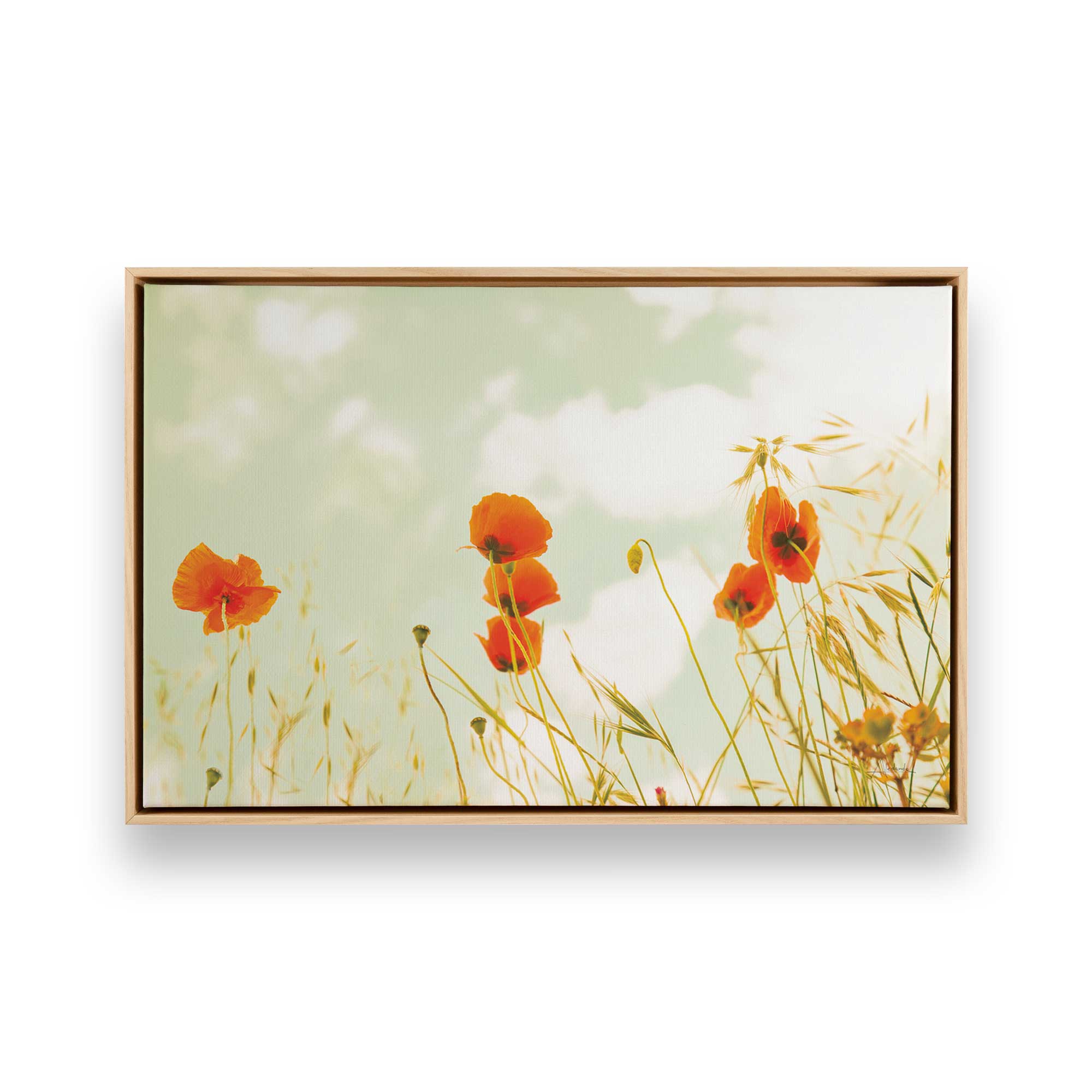 Gentle Poppy Breeze Canvas Wall Art - Floral Home Decor for Living Room, Bedroom & Office - Handmade Oil Painting Reproduction