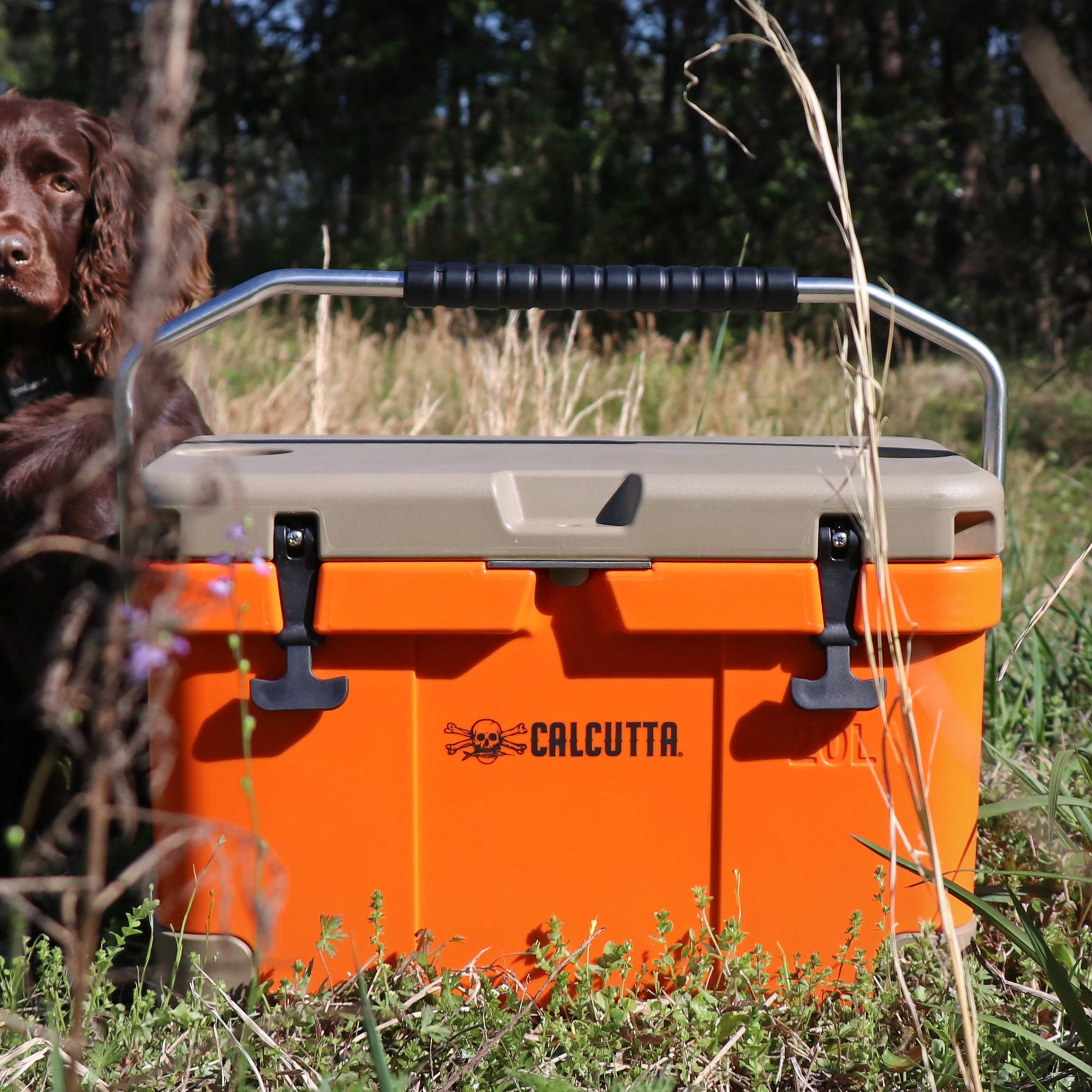 Calcutta Hard Cooler - 5-Day Ice Retention Insulated Outdoor Ice Chest | Portable Cooler for Fishing, Boating, Camping & Travel | 20L Drink Cooler with Drain Plug & Built-in Light | Perfect for Beach Parties, Tailgating & Outdoor Adventures