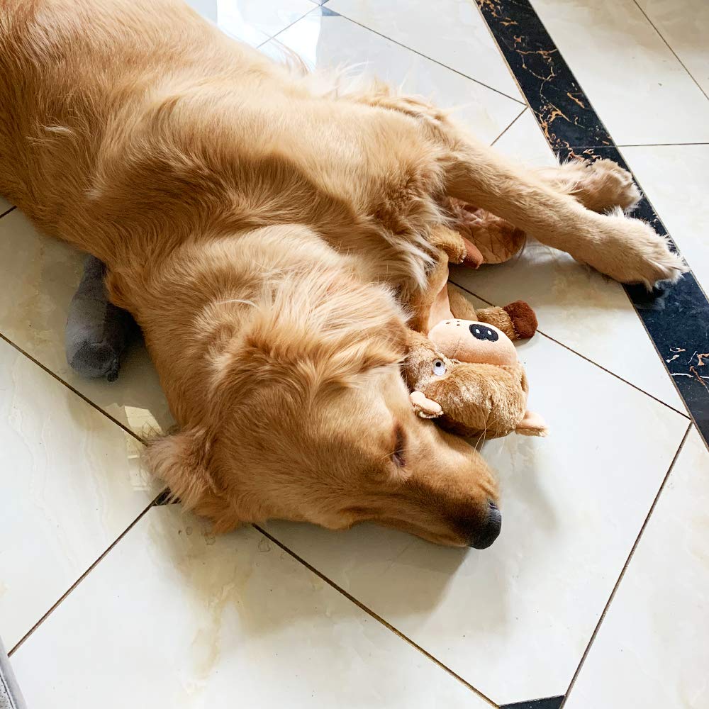 **Extra-Large Jalousie Squeaky Dog Toy with Rope & Plush – Durable Chew Toy for Small, Medium & Large Breeds – Interactive Play for Indoor & Outdoor Fun (Otter Design)**