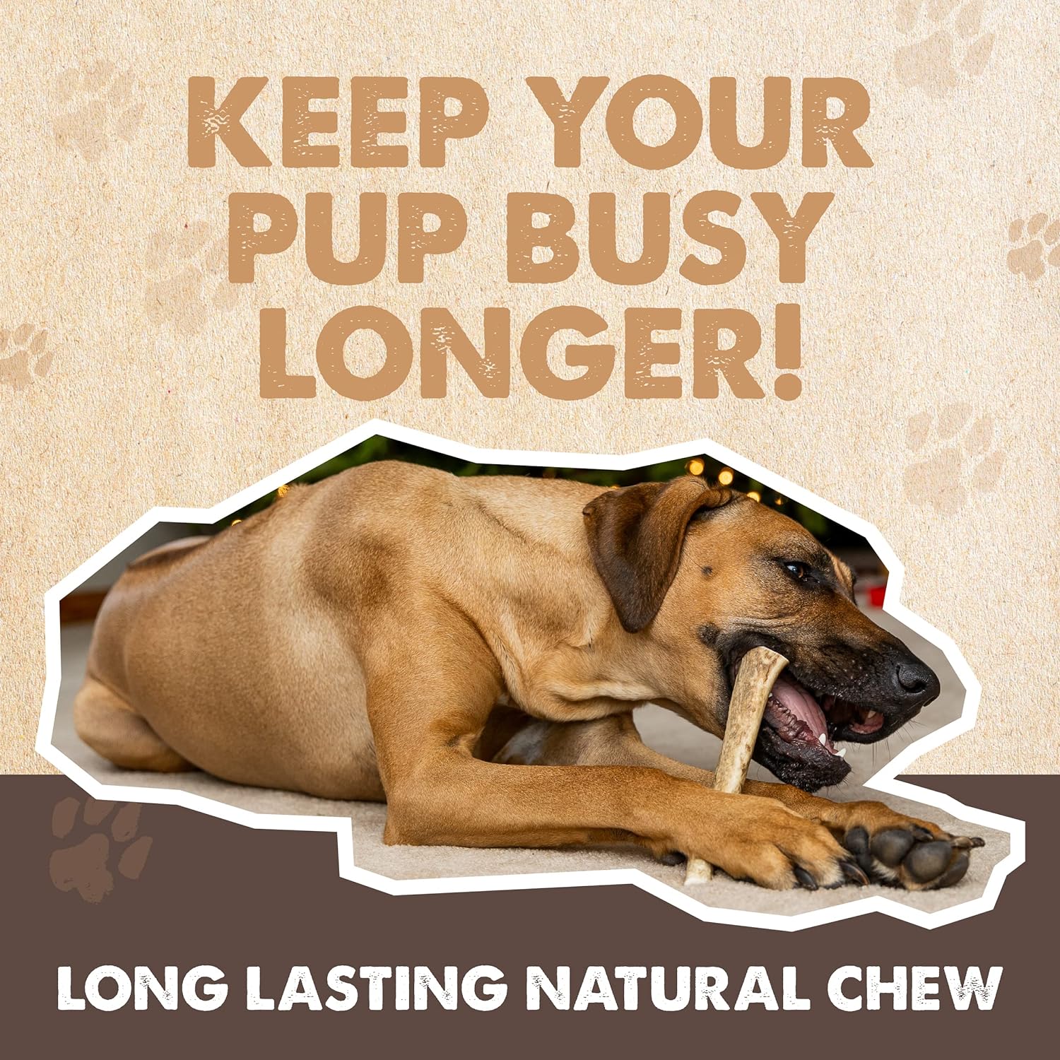 All Natural Elk Antlers for Dogs - Premium Chew Toys for Aggressive Chewers - Long-Lasting Dental Health Treats - Perfect for Large Breed Puppies & Adult Dogs - Indoor & Outdoor Use