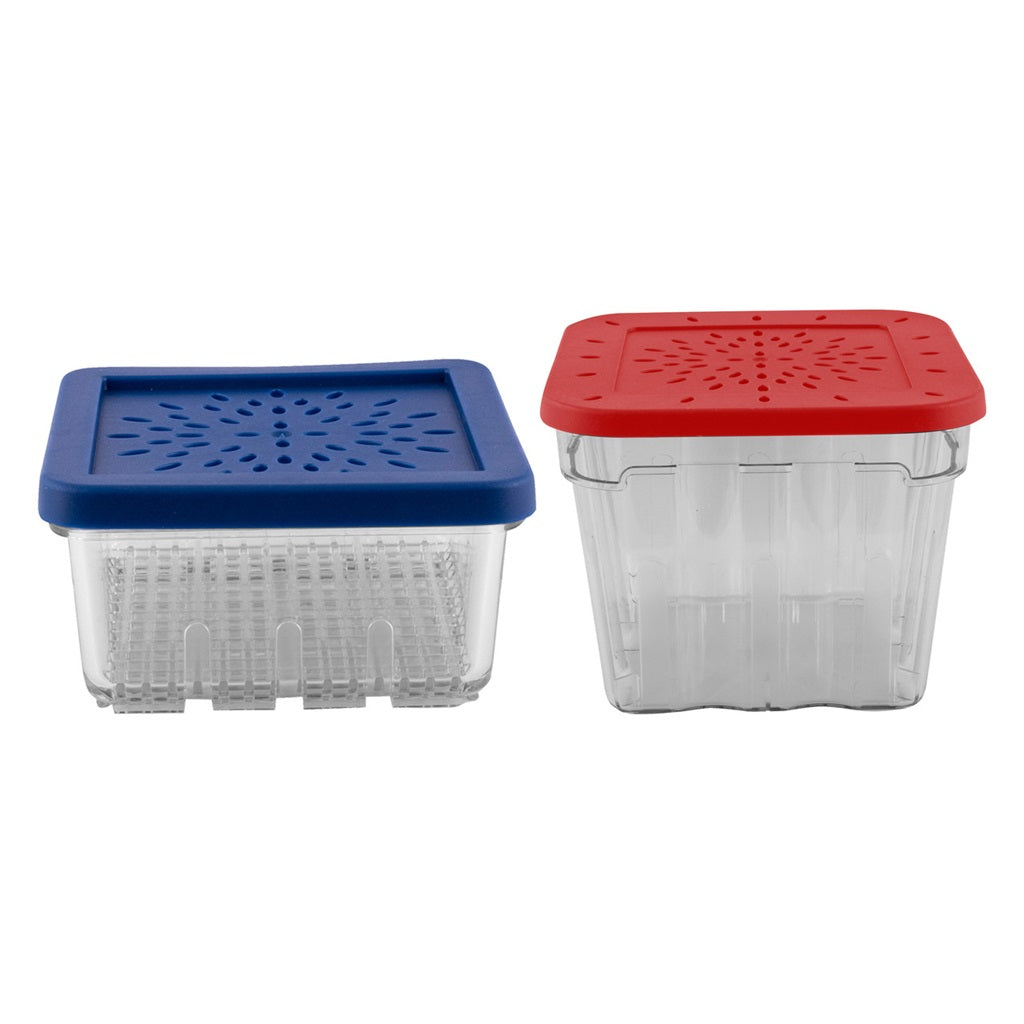Avanti Berry Baskets Set of 2 - Premium Fruit Storage Containers for Fresh Berries, Perfect for Refrigerator Organization & Farmers Market Shopping
