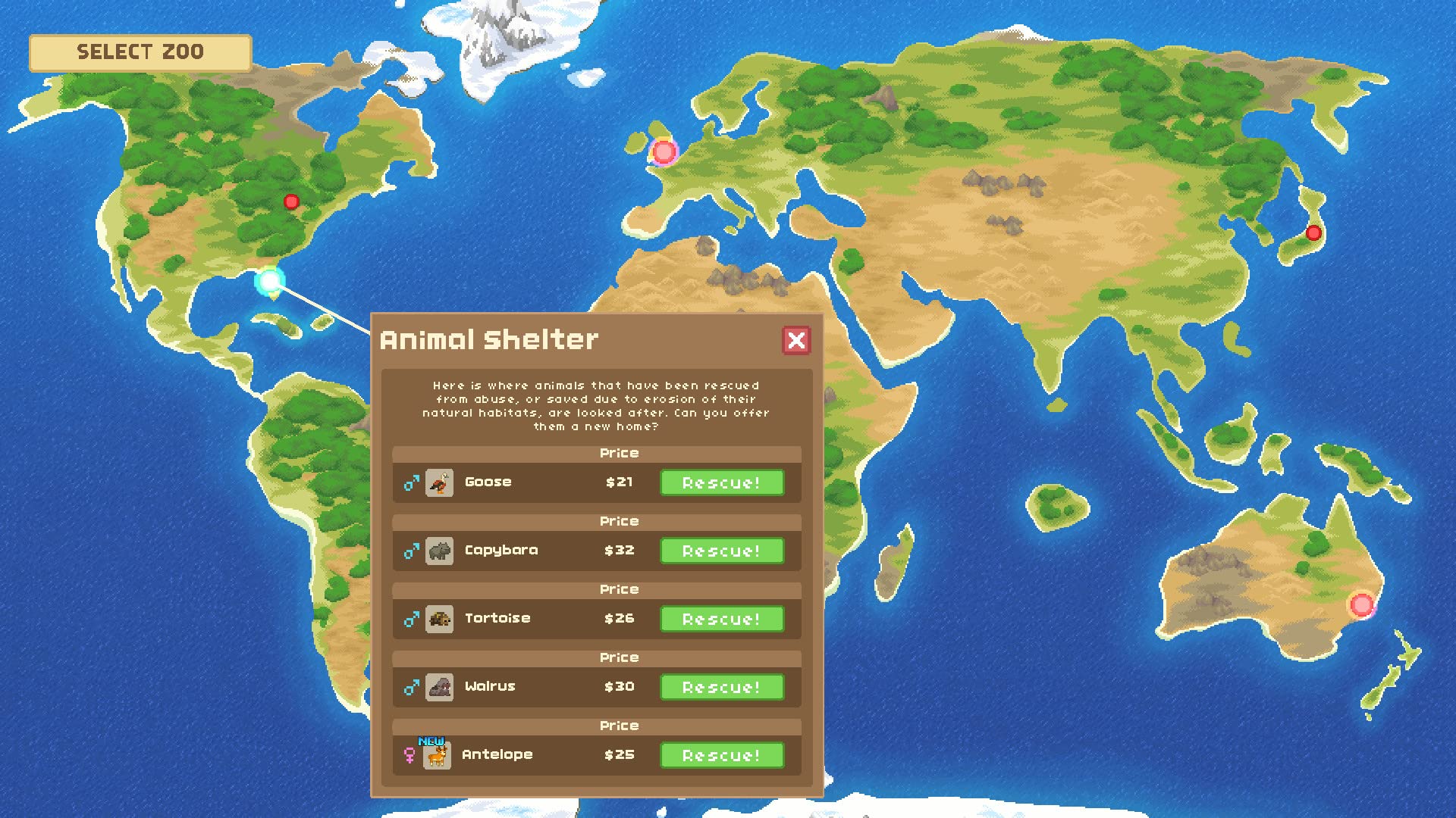 Let's Build a Zoo - Nintendo Switch Game | Family-Friendly Zoo Simulation & Management | Perfect for Animal Lovers & Strategy Gamers