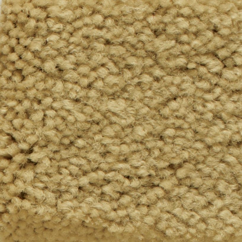 Scallop