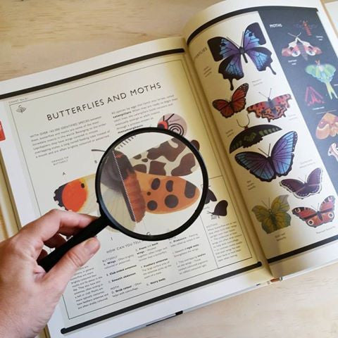 Curiositree: Natural World - Explore Nature's Wonders | Educational Book for Kids & Adults | Perfect for Homeschooling, Classroom Learning & Nature Enthusiasts