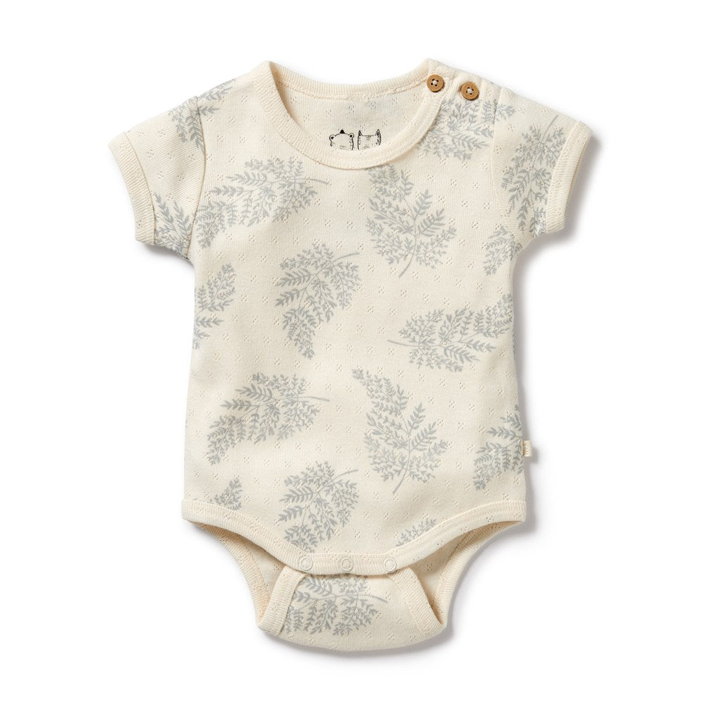 Forever Ferns Organic Pointelle Bodysuit - Soft Cotton Baby Onesie for Newborns & Infants - Perfect for Everyday Wear, Photo Shoots & Special Occasions