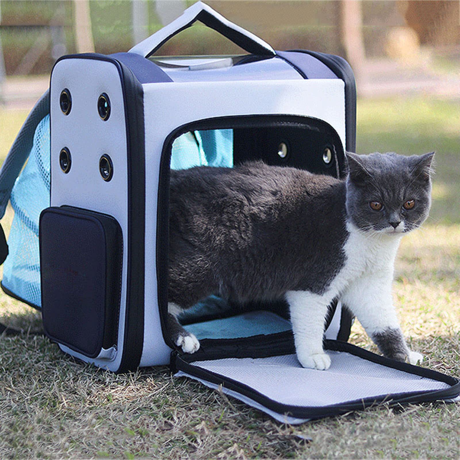 Expandable Pet Backpack Carrier for Cats & Small Dogs - Foldable, Breathable Travel Bag with Comfort Pad - Perfect for Outdoor Hiking, Airplane Travel & Vet Visits (Blue)