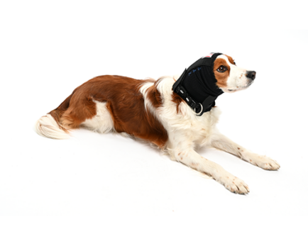 Buster Ear Cover Small - Comfortable Noise Reduction Ear Muffs for Dogs - Perfect for Fireworks, Thunderstorms & Grooming Sessions
