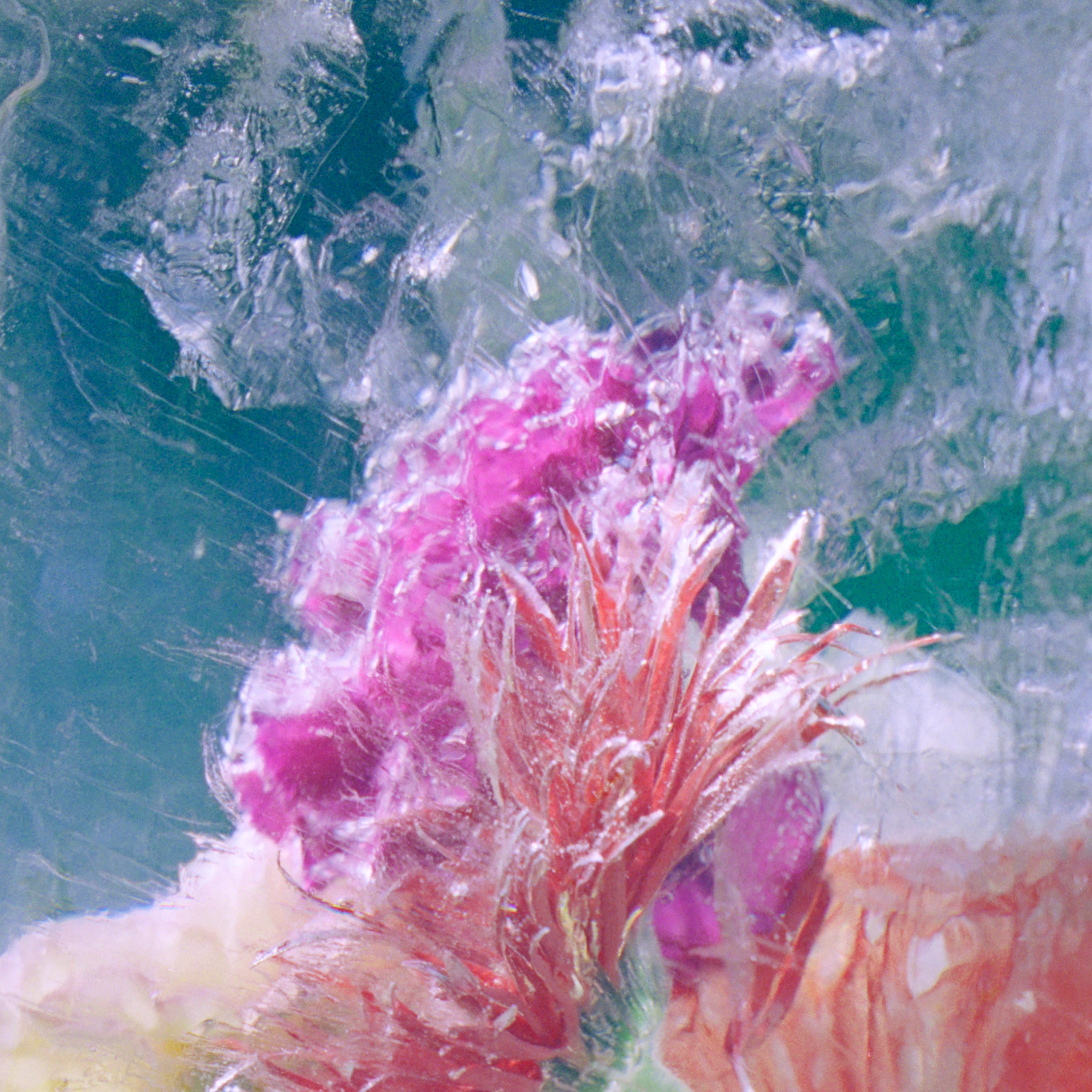 Plexiglass EP - Limited Edition SIGNED 12