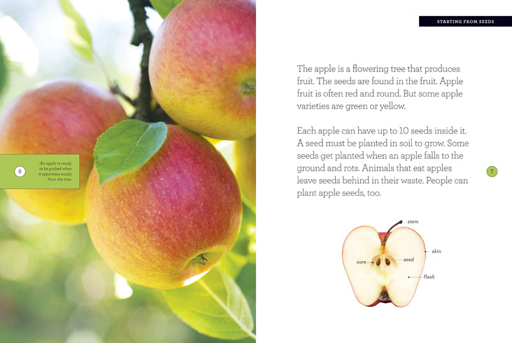 Apple 978-1-60818-404-0 - Perfect for Reading, Studying, and Research