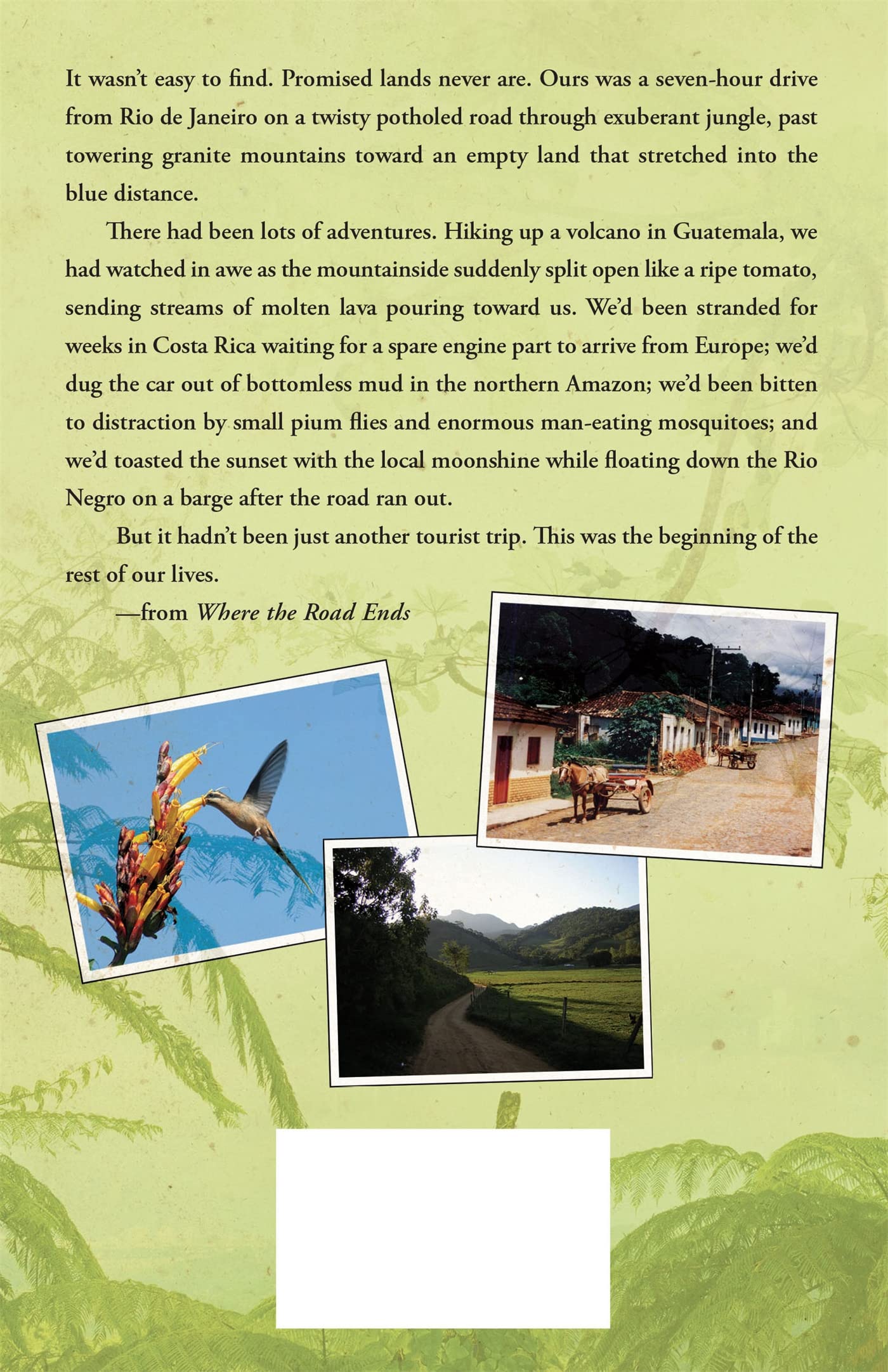 Where the Road Ends: A Home in the Brazilian Rainforest - Memoir of Amazon Adventure & Sustainable Living for Nature Lovers & Travel Enthusiasts