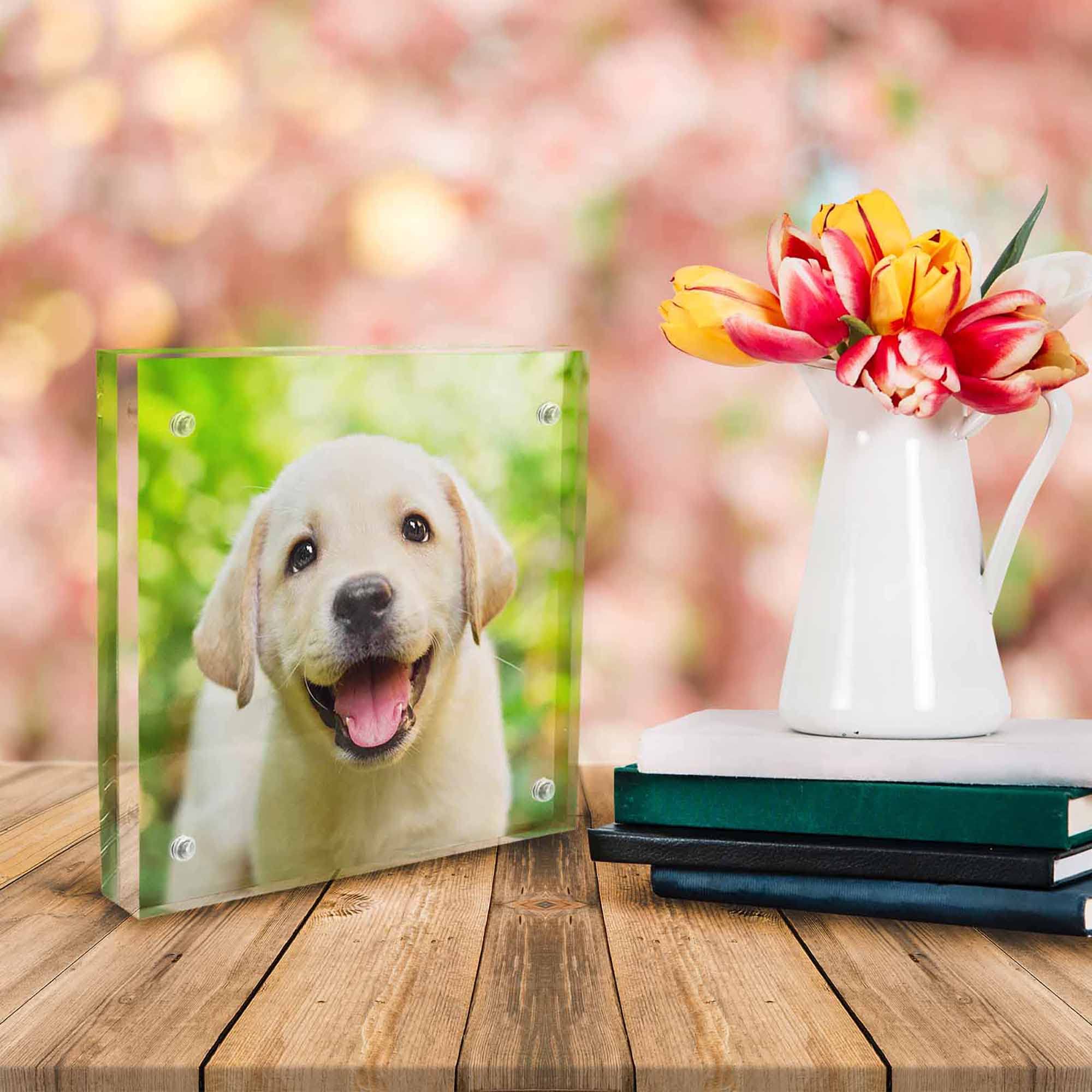 Custom 5x5 Acrylic Photo Frame - Double Sided Magnetic Display for Pets, Gifts