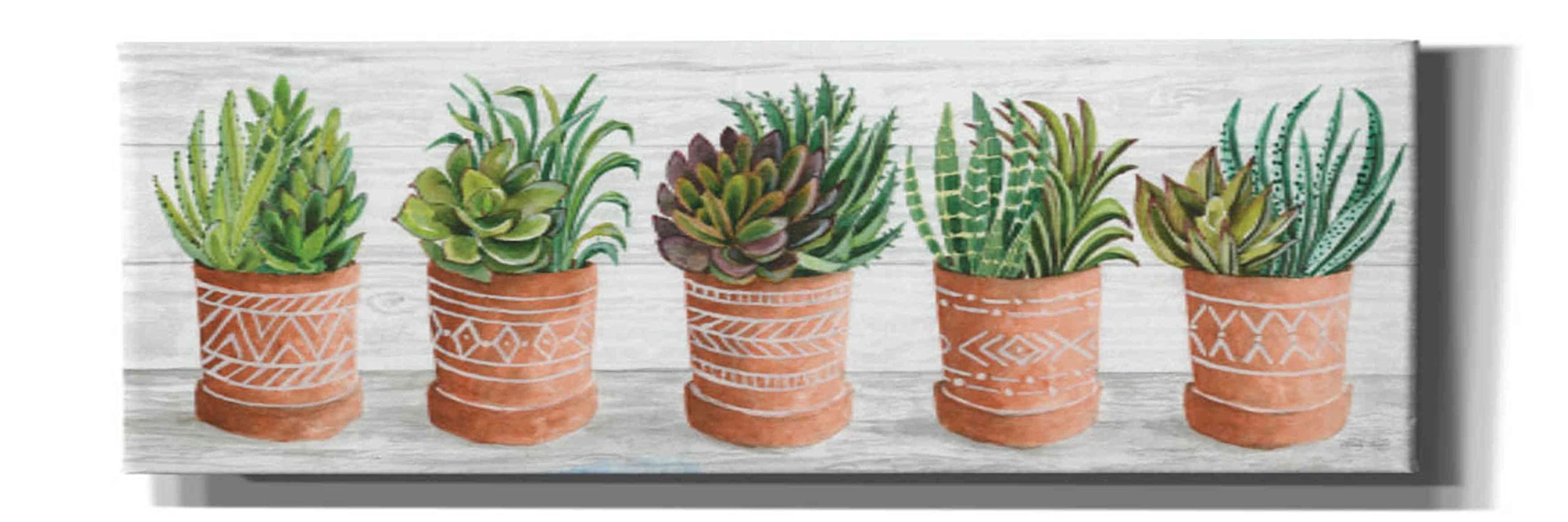 Epic Graffiti 'Terracotta Pots II' by Cindy Jacobs - Modern Canvas Wall Art Print 36x12 Inches - Perfect for Living Room, Bedroom & Office Decor