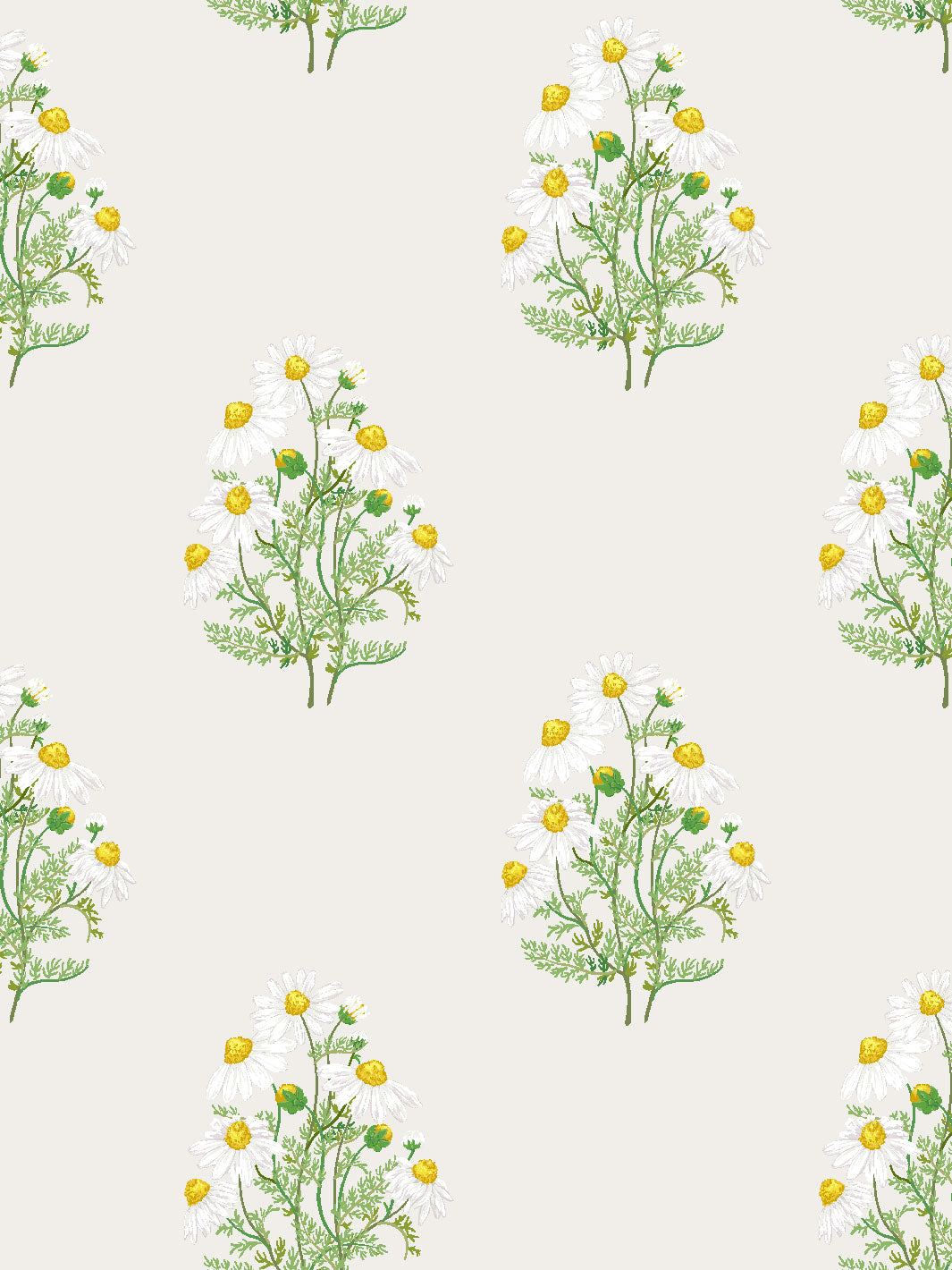 Sarah Jessica Parker Fleur De Camomille Wallpaper - Elegant Parchment Design for Living Room & Bedroom Decor