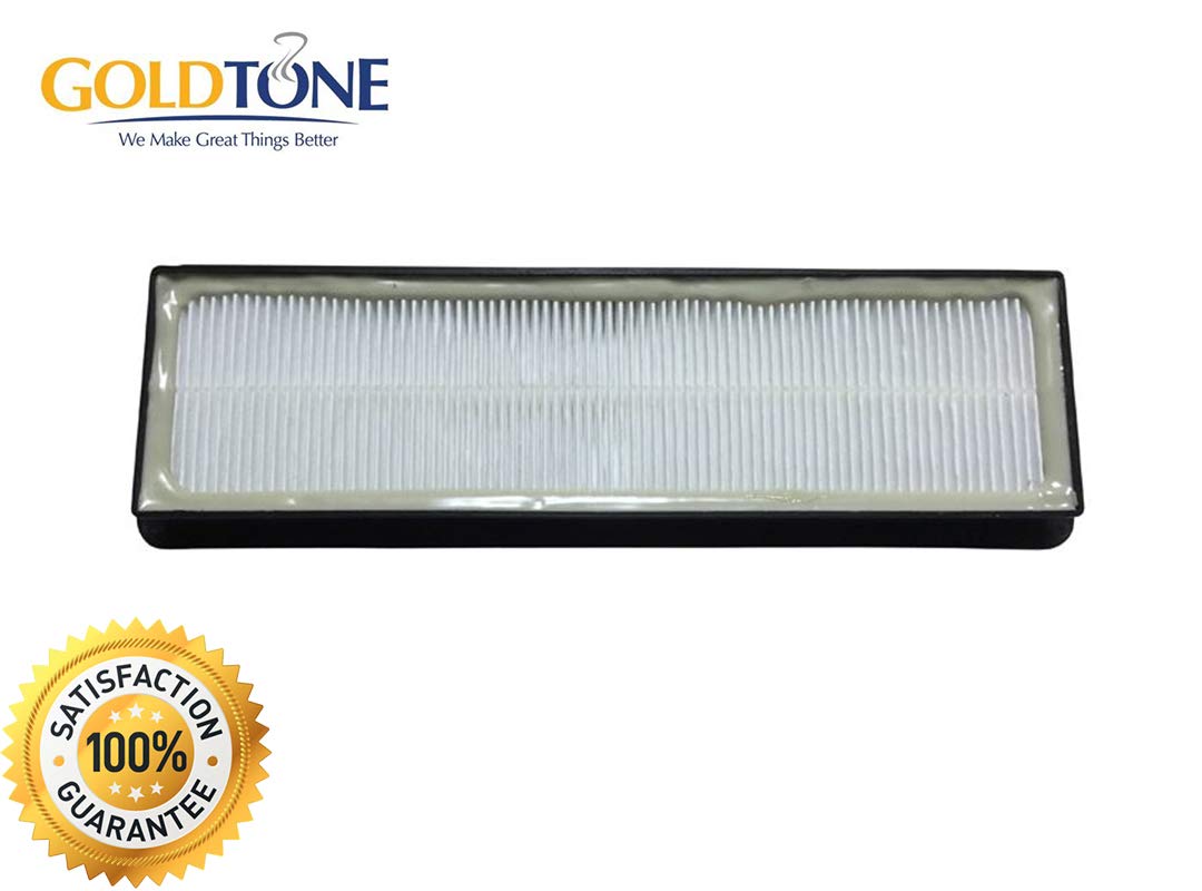 GOLDTONE Replacement Vacuum Filter (2 Pack) - Compatible with EUREKA AS1000 Series Upright Air Speed Vacuum Cleaner - Replaces EUREKA EF-6 69963 - HEPA Filtration for Dust & Allergens - Perfect for Home Cleaning & Pet Hair Removal