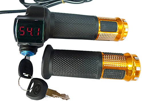 24V 36V 250W Electric Brush Motor Kit with Controller & Throttle Handle - Battery Indicator & Key Switch for E-Bike Conversion - Perfect for DIY Electric Bicycle Upgrades & Commuting