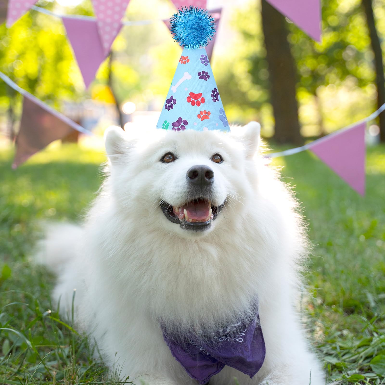 KALIONE 6 Pack Rainbow Cat & Dog Birthday Hats with Pompons - Adjustable Leather Headbands for Puppy Kitten Pet Party | Perfect for Birthday Celebrations, Photo Shoots & Pet Costume Parties
