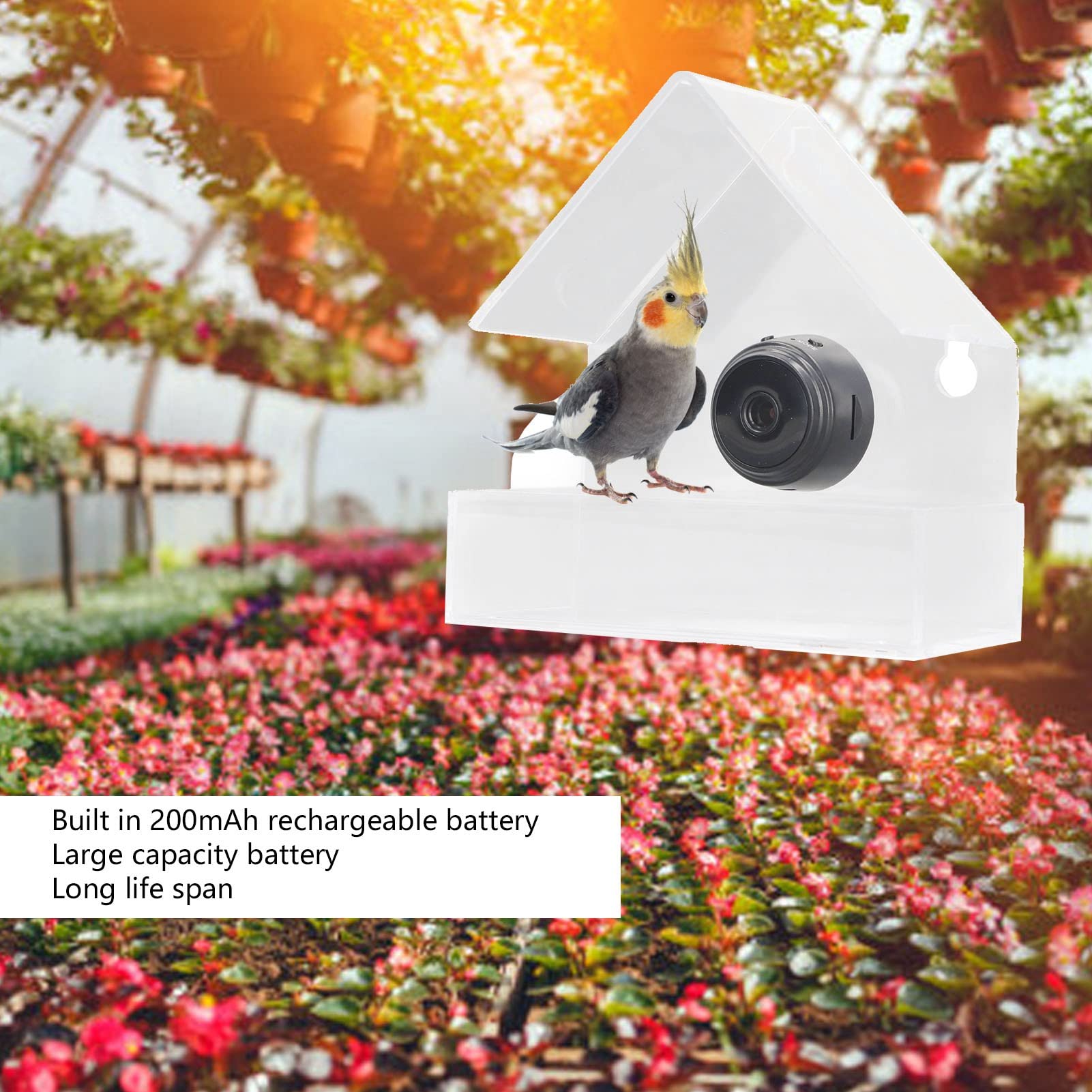 Smart Bird Feeder Camera with 720p HD Auto Capture, 170° Wide Angle & Night Vision - Wireless Outdoor Bird House Camera for Bird Watching - Perfect Gift for Nature Lovers & Backyard Wildlife Enthusiasts