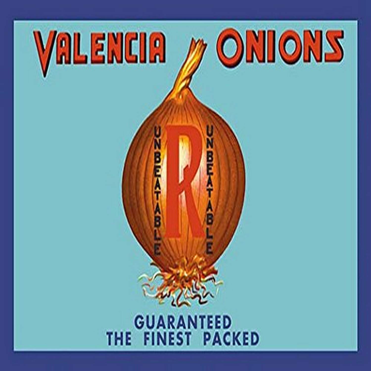 Valencia Onions Art Print Poster - 20x30 Inch Wall Decor for Kitchen, Dining Room & Farmhouse Style Home